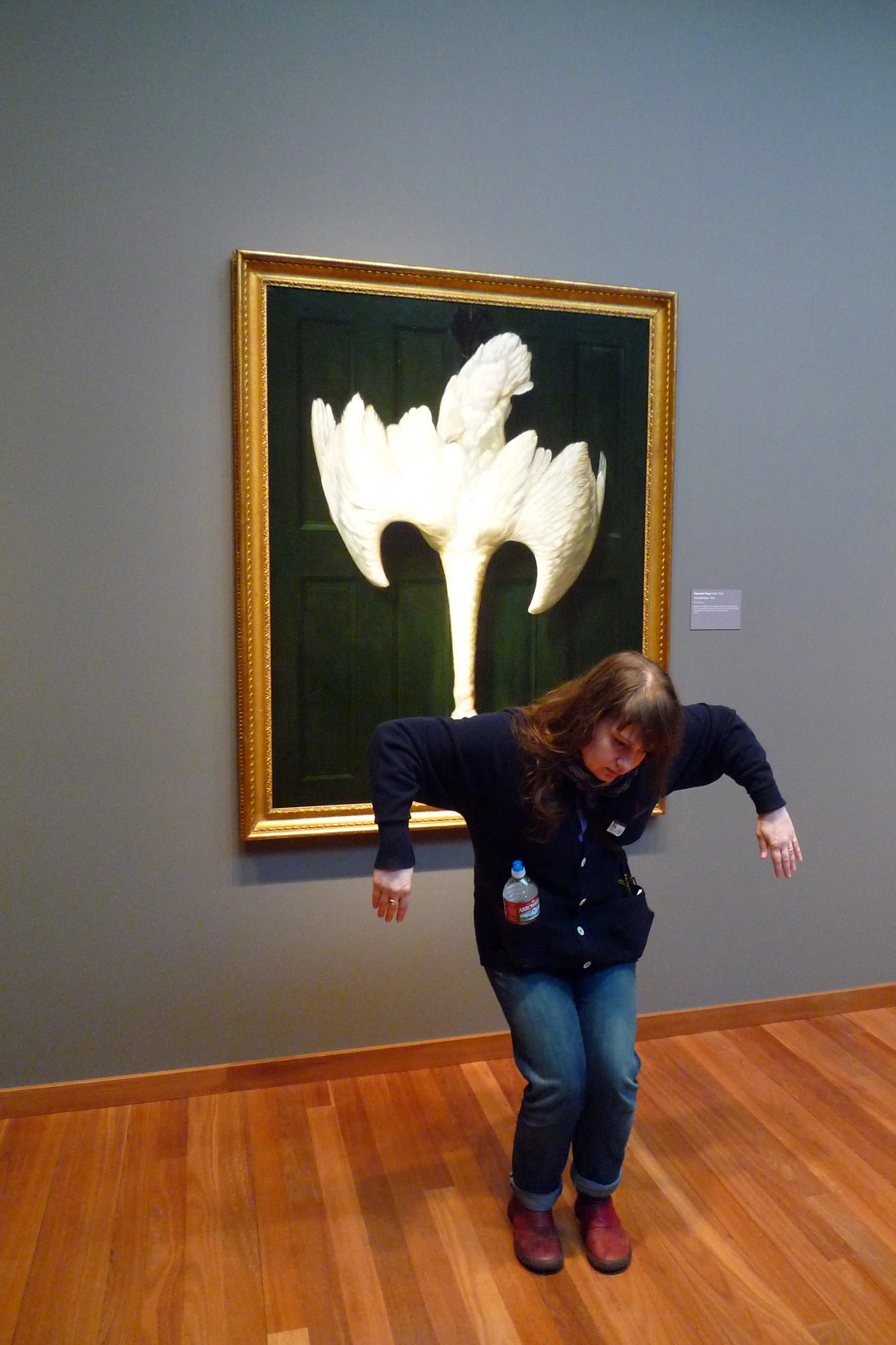 All the Animals in the DeYoung Museum, San Francisco, CA, 2014