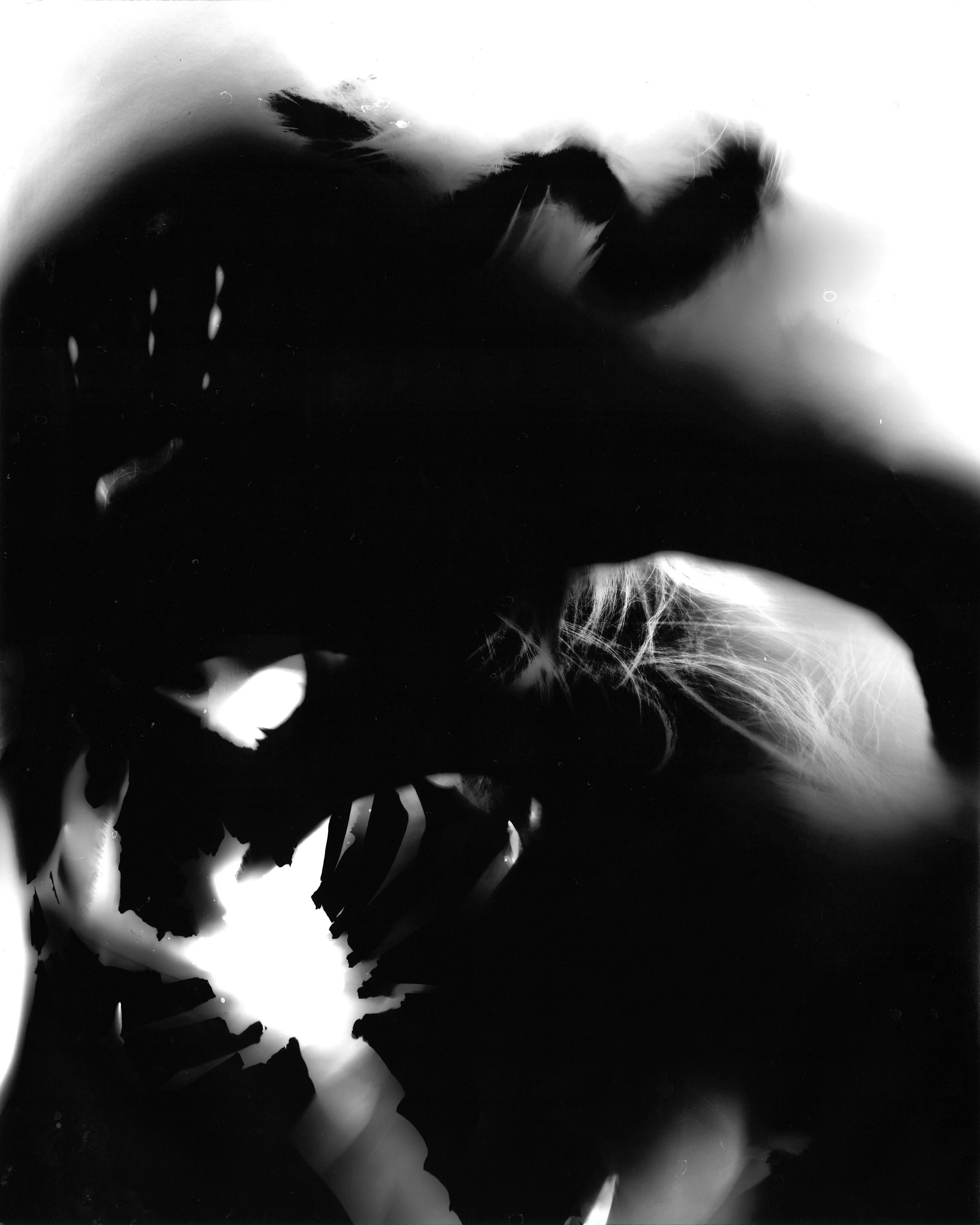 005.jpg