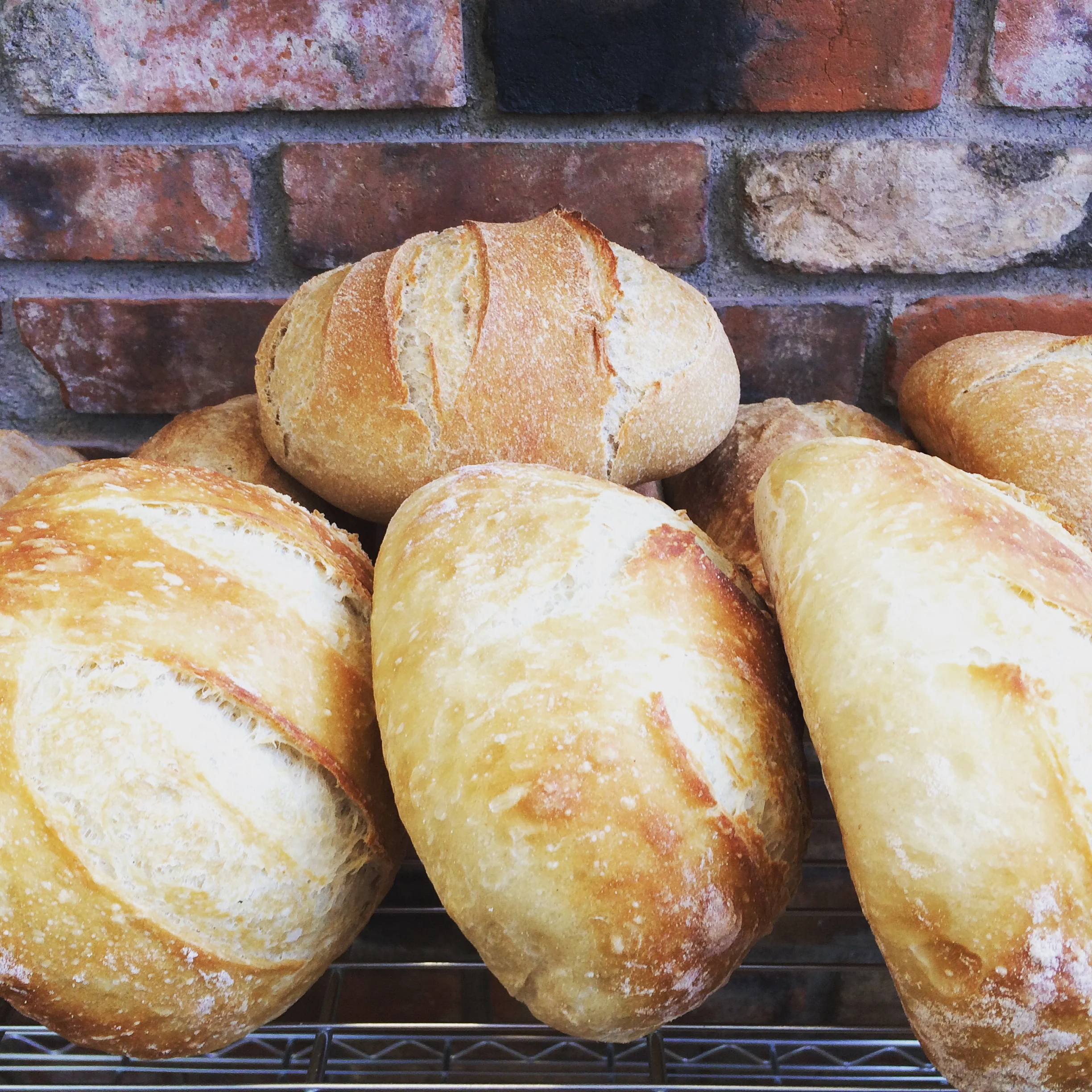 Warm and Fresh.