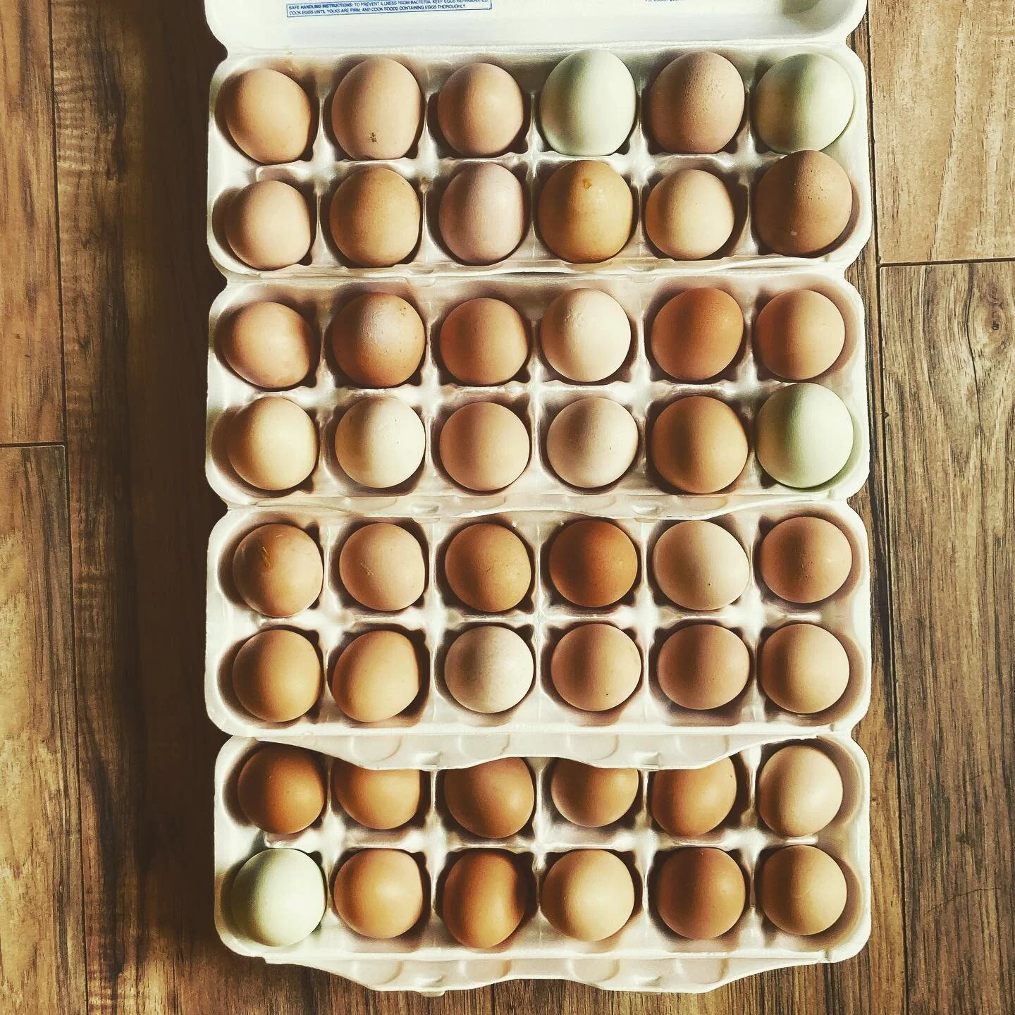EGGS! I&rsquo;ve got a few dozen in the cooler on my porch. $5 each.  DM me if you need the address! FCFS.
#mamabakesbread