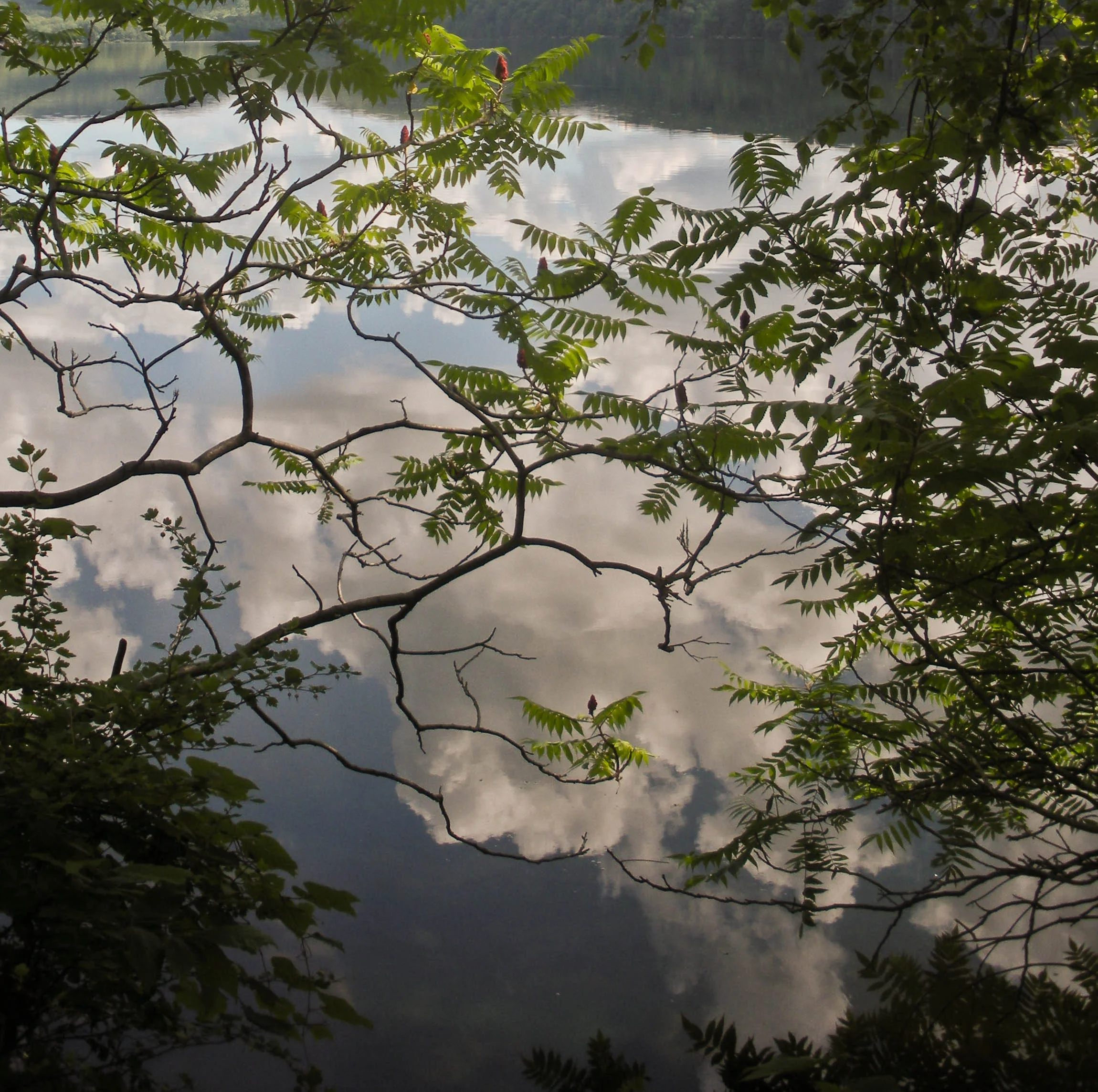 ...and a "confusing" picture of sky, lake, nature, reflections and upside-downs at Sterling Lake, NY. ;)
