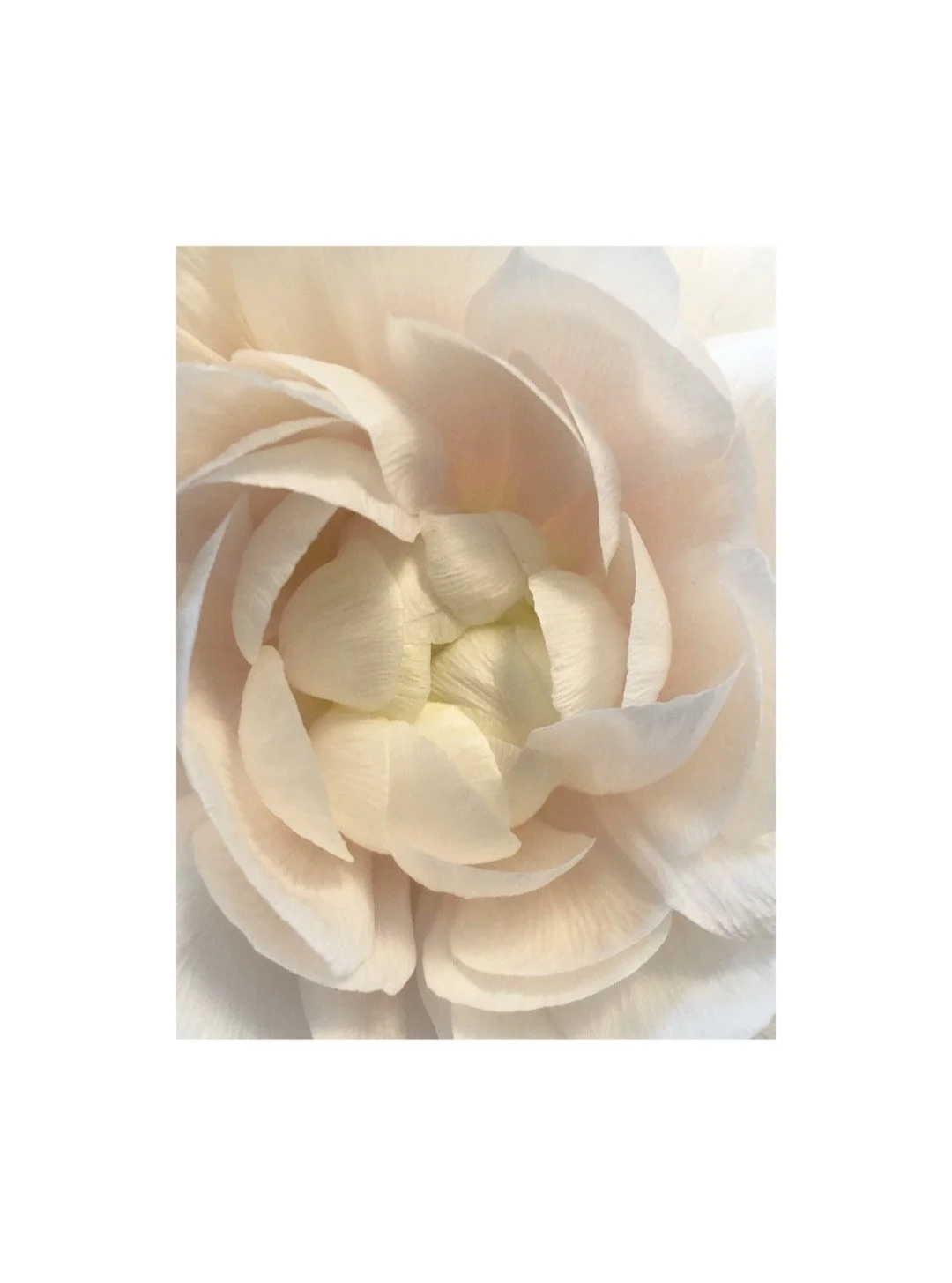 When the world is showing the darkest side, turn to nature.
.
.
.
.
.
.
.
#AglaiaJewelry
#hope and #Peace
#SculpturalJewelry
#ArtObject #mentalhealth
#WearableArt
#ArchitecturalJewelry
#StatementRing
#ContemporaryAdornment
#QuietLuxury
#DesignCollect