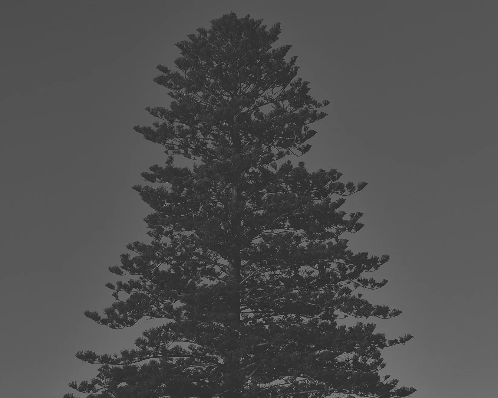 horizonnohorizon_0019.jpg
