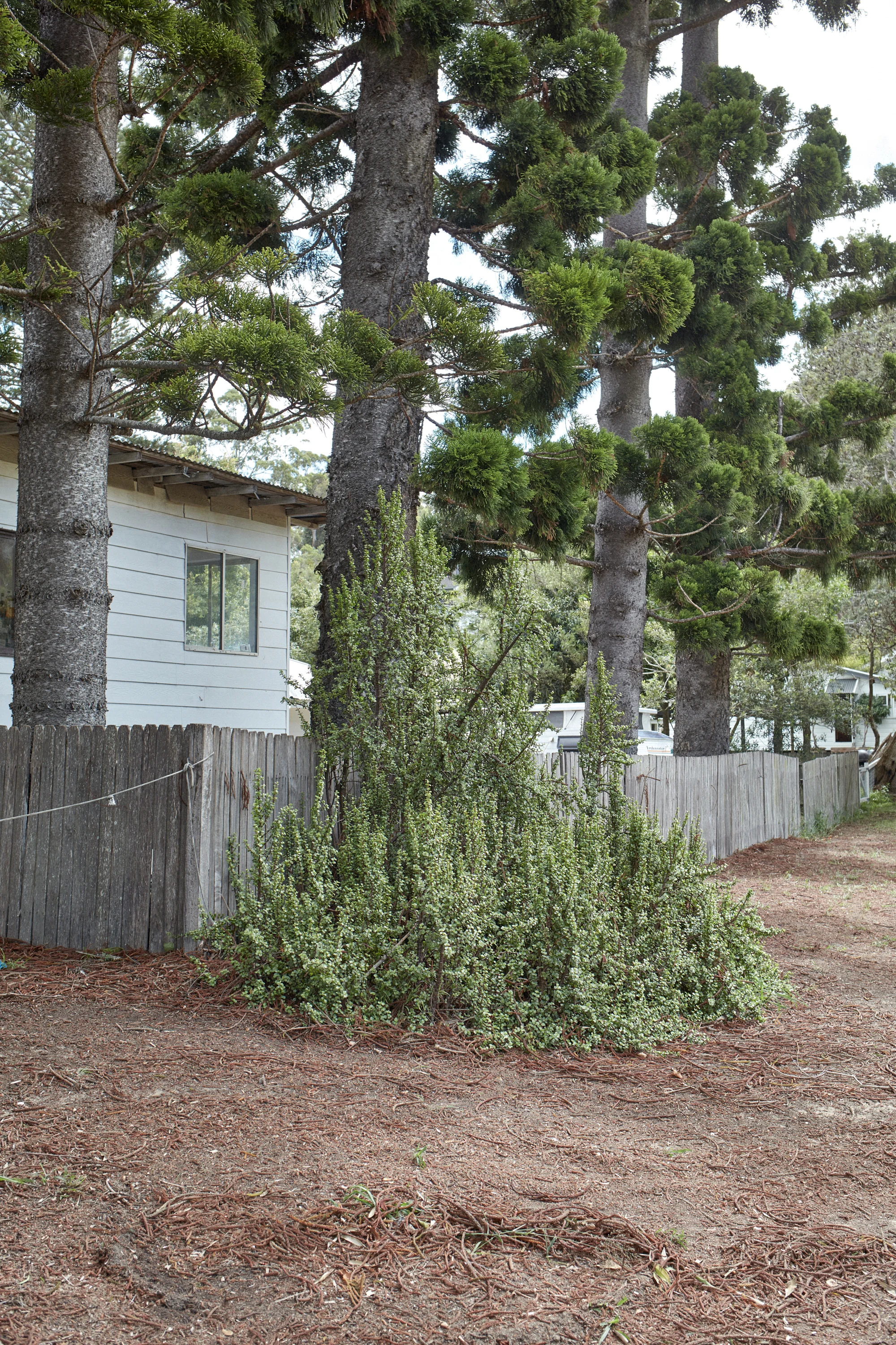 170310_NorthJournal_Patonga_0253.jpg