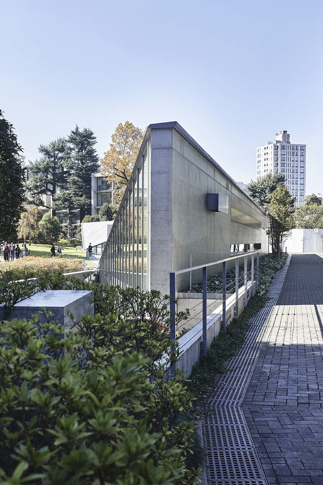 171102_AuraSoma_Japan_0246.jpg