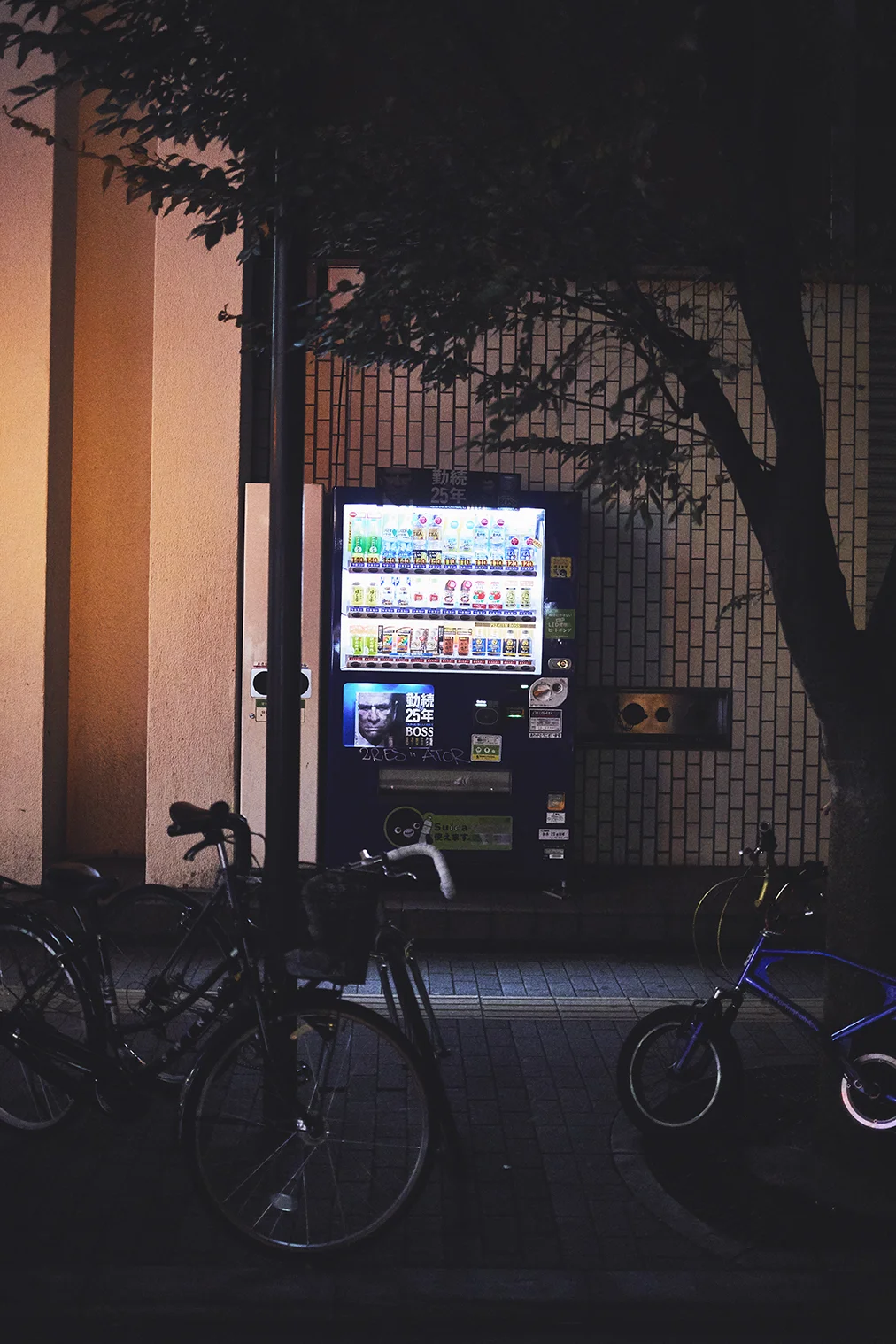 171102_AuraSoma_Japan_0044.jpg