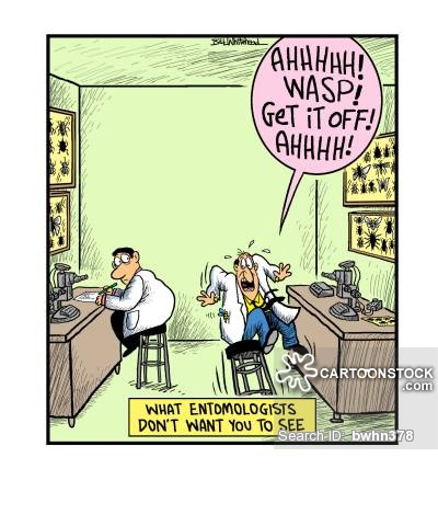 Credit to Bill Whitehead and Cartoon Stock.