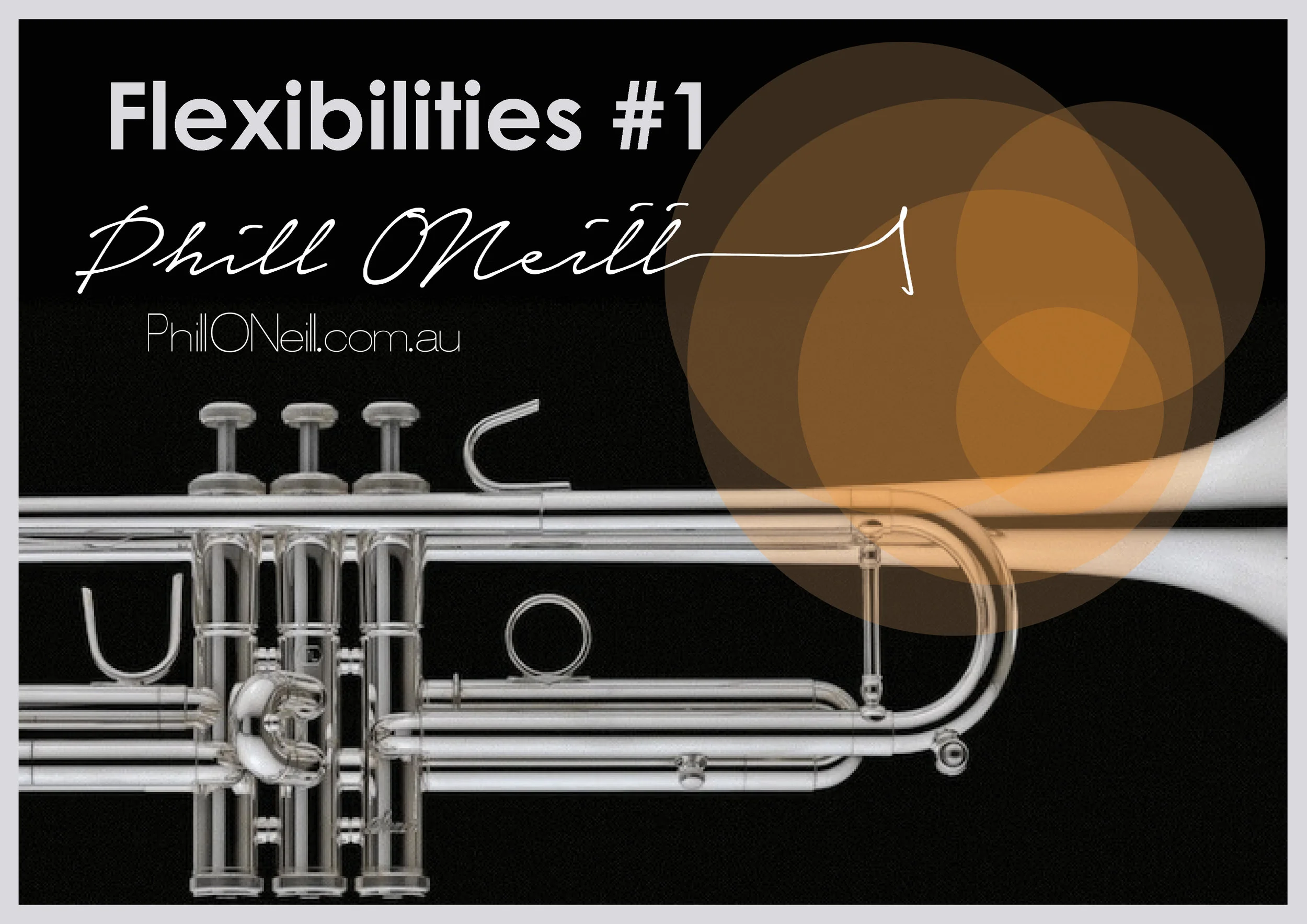 Flexibilities 1_cover.jpg