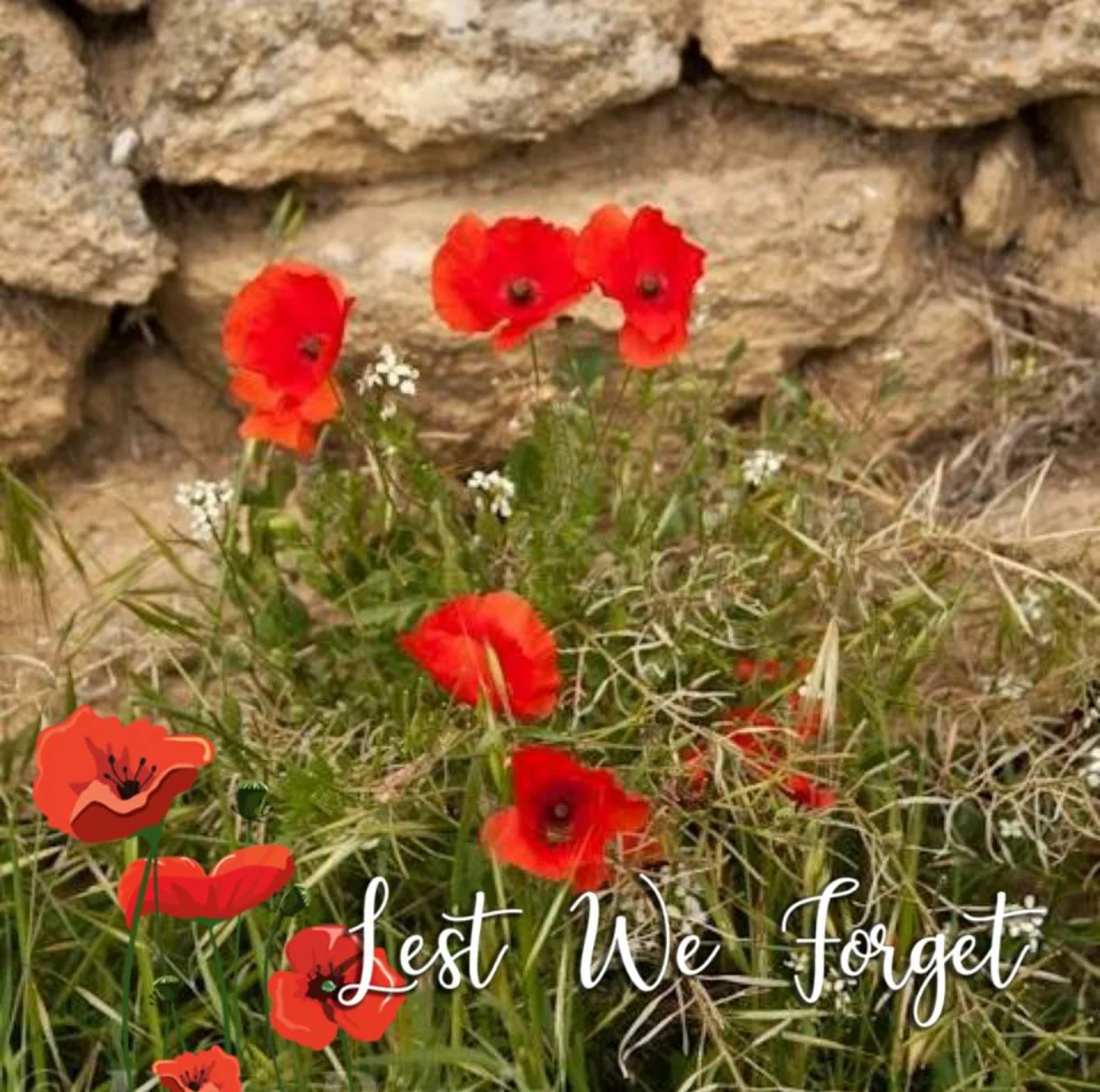 Lest We Forget
