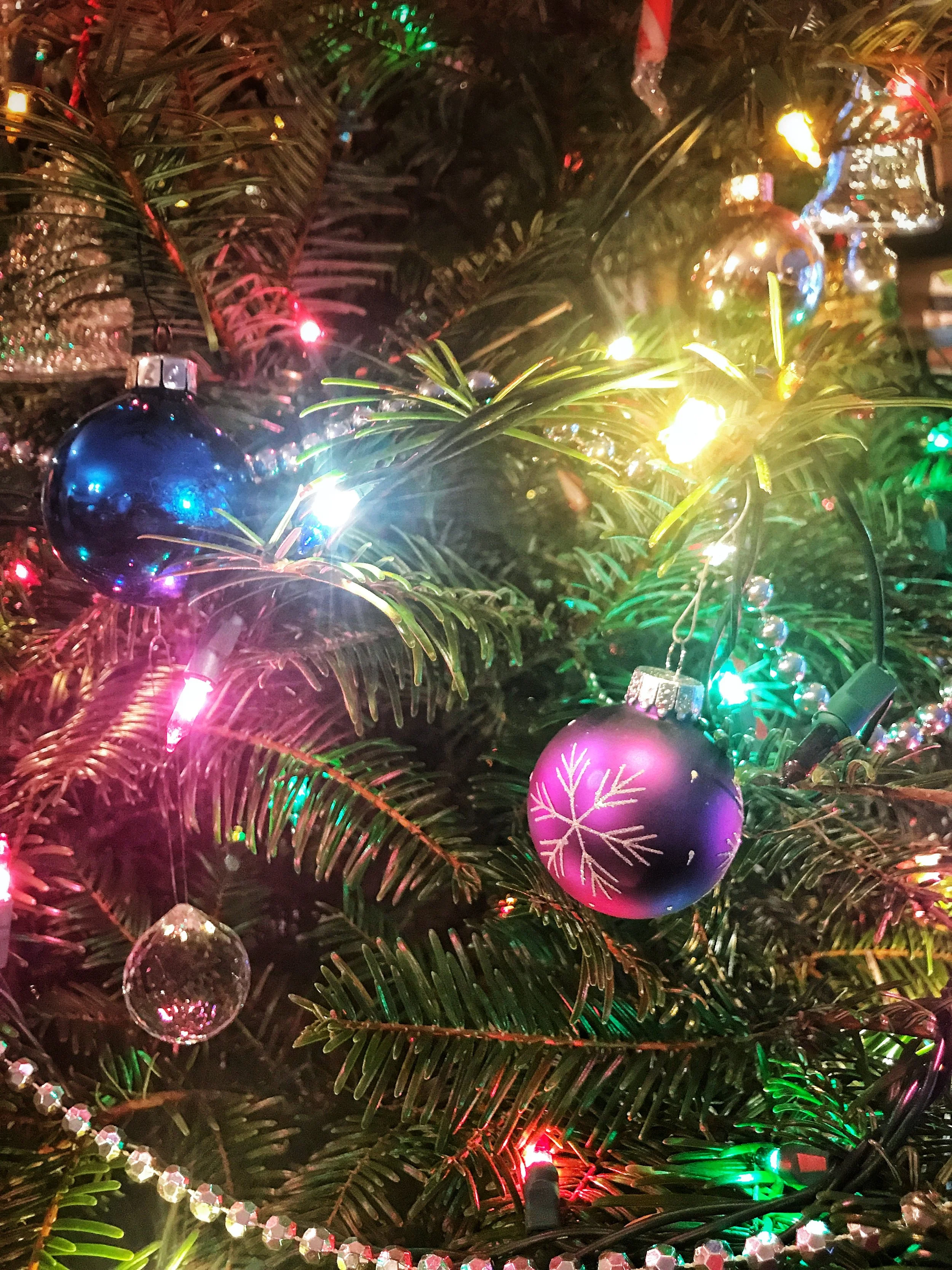 Merry Christmas!