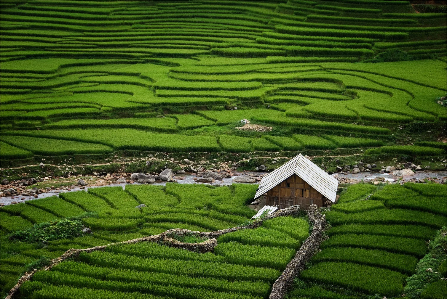 Black Hmong House.jpg