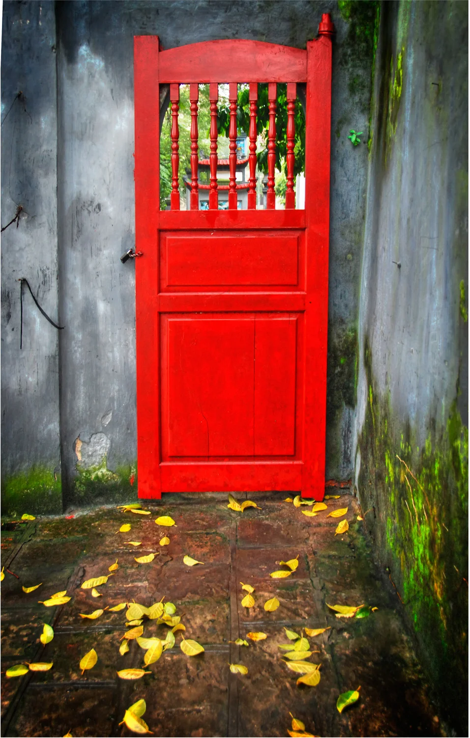 Red Door.jpg
