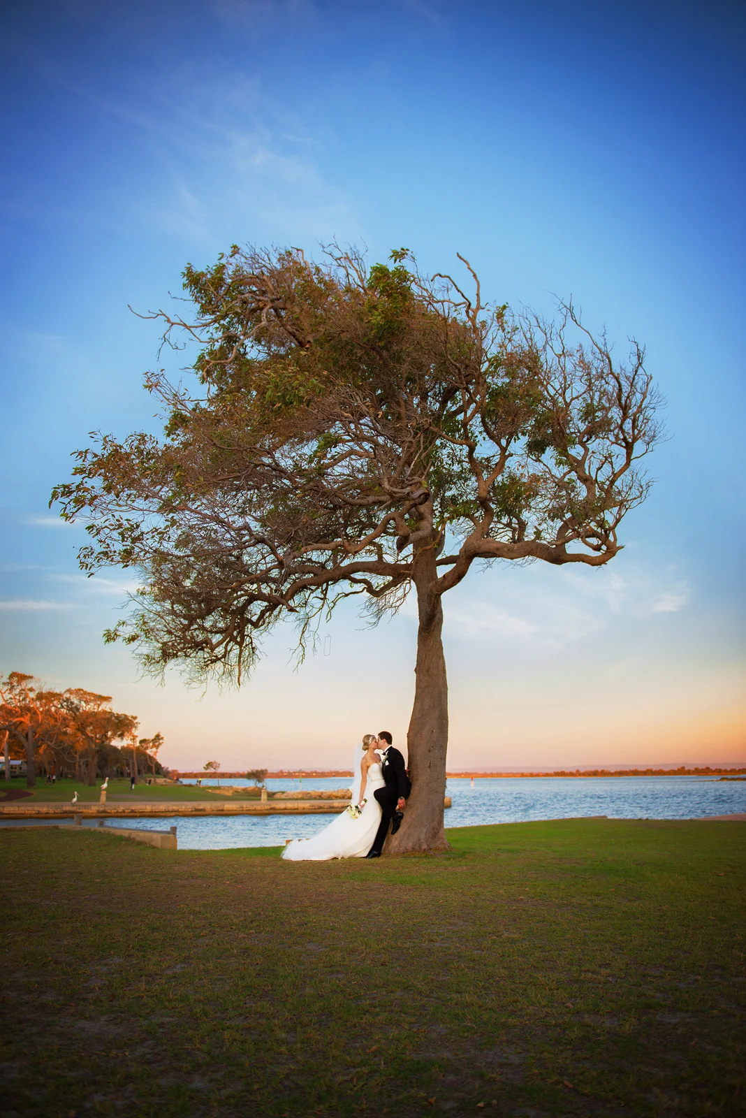 Bride and Groom kissing under Tree at sunset, Mandurah.