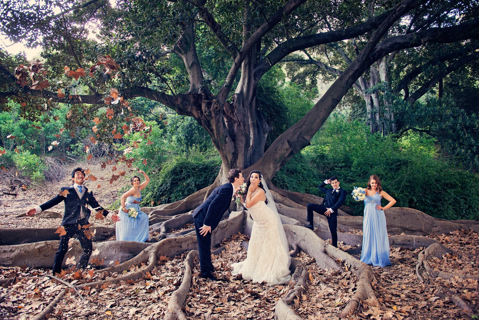 fun pose of Bridal Party under Bay Moreton Fig Tree. Kings Park grove