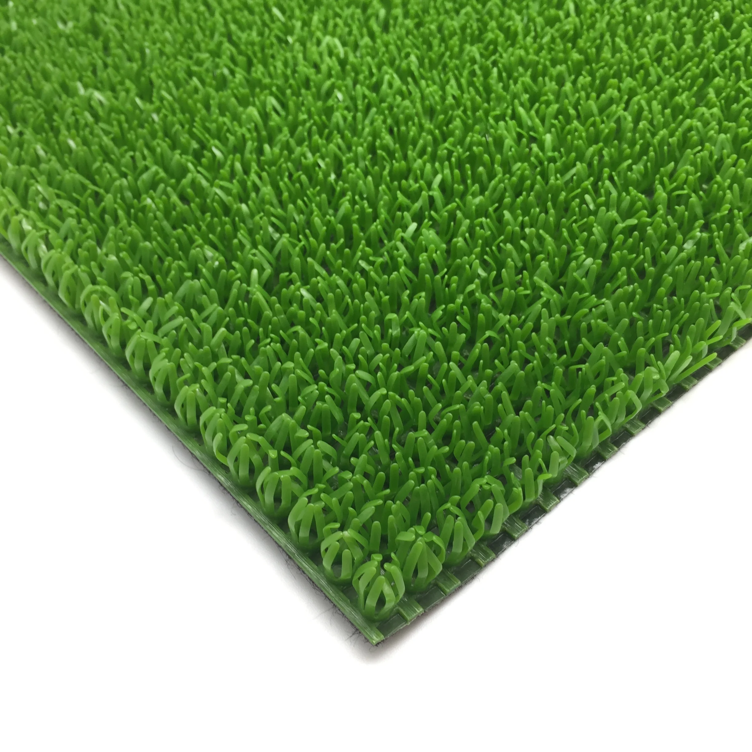 AstroTurf1.JPG