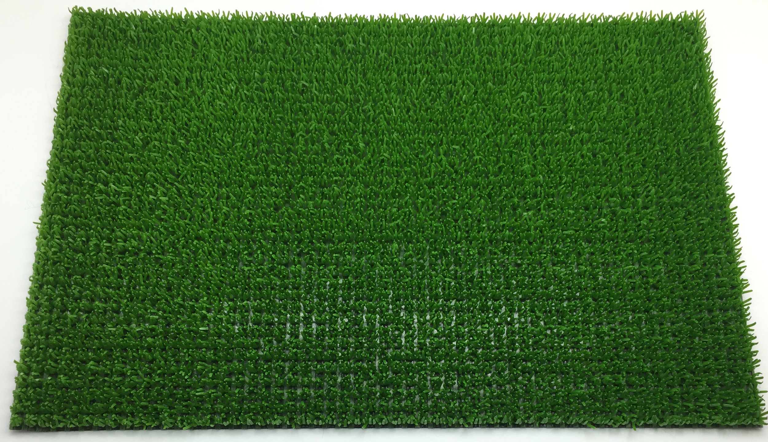 AstroTurf.JPG