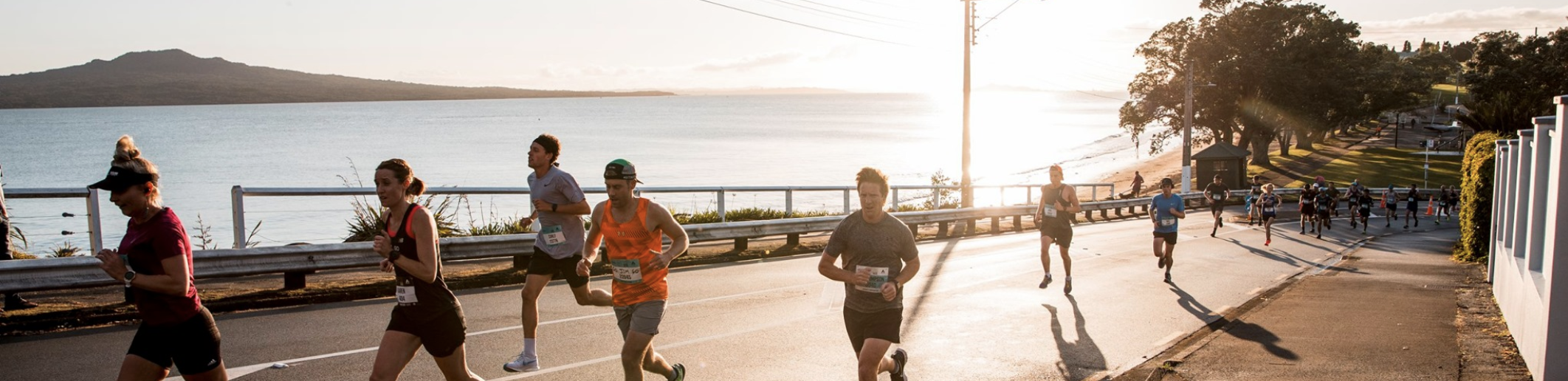 Screen Shot 2021-01-18 at 1.14.32 PM.png