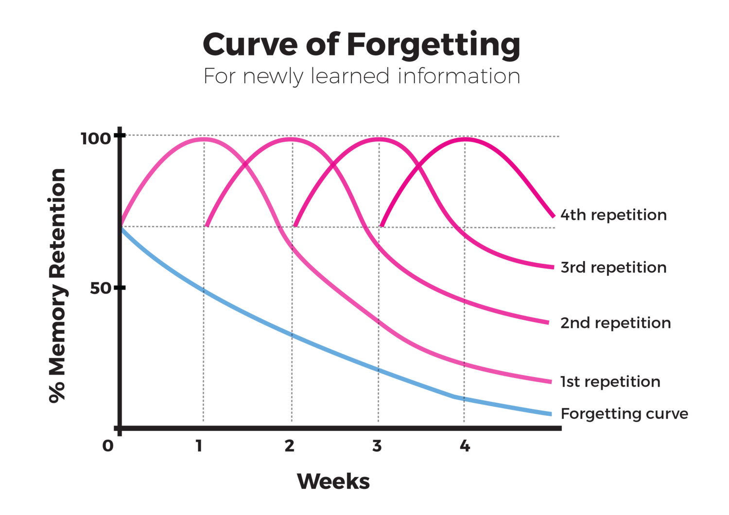 The Curve of Forgetting - The blue line on the graph dips into a curve to show that our memory of new facts we have learned declines over time, unless we revise that information regularly. There are 4 pink curved lines to represent how our memory retention will be higher if we revise the information we learn.