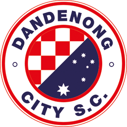 Dandenong City SC Logo.png
