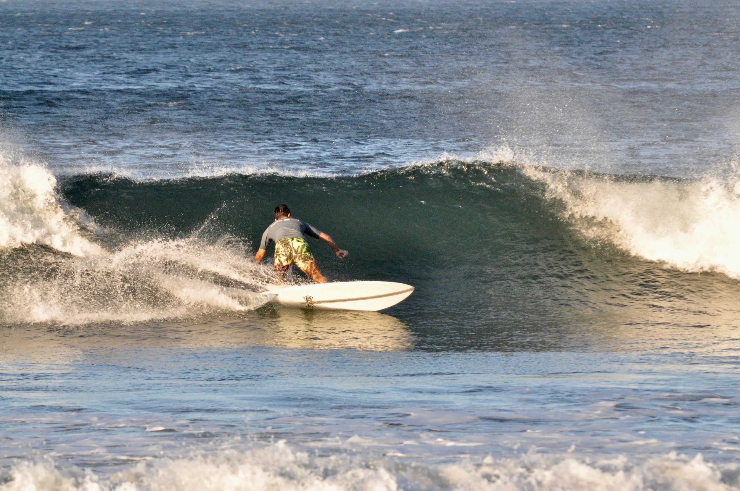DSC_8049.jpg