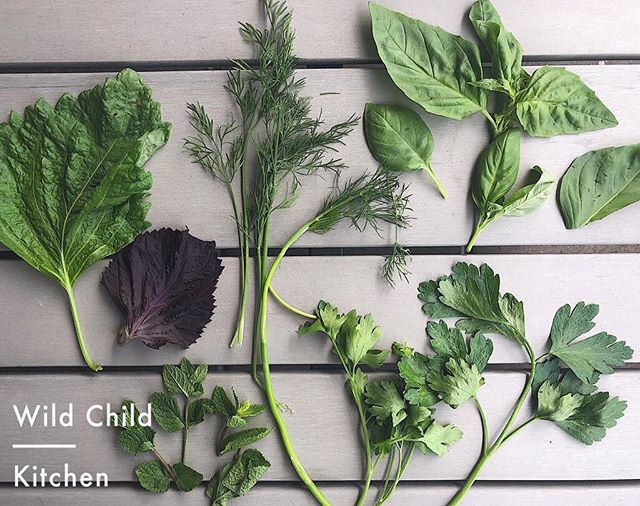 Summer herbs ☀️This glorious sunshine brings with it an exciting array of herbs 🌿We often talk about using herbs to make dishes more interesting and to introduce little foodies to new flavours. Here are some of our favourites at the moment - can you