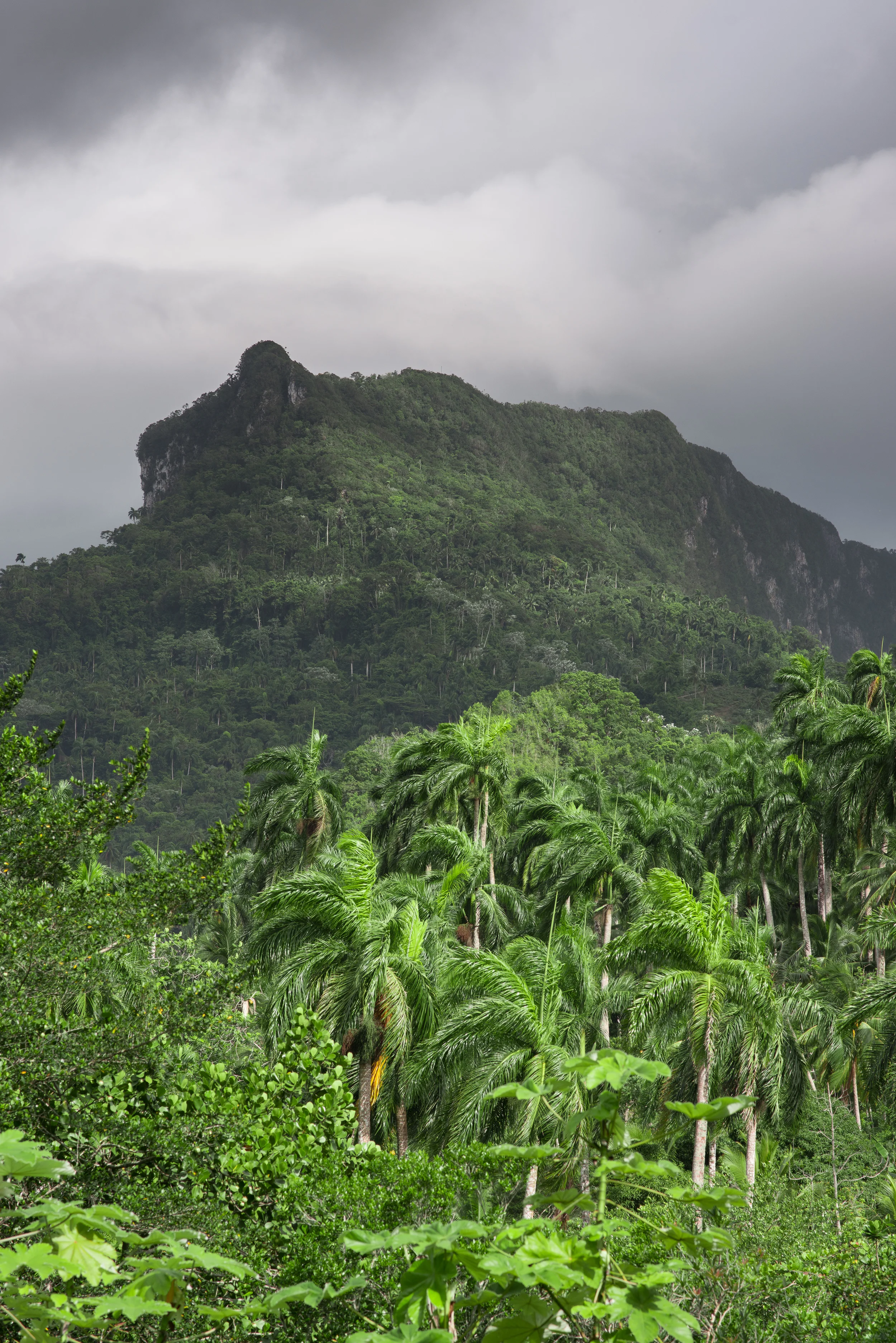El Yunque, Baracoa