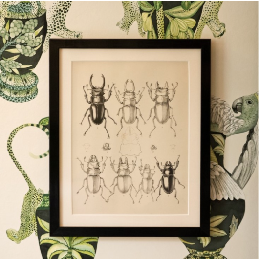 Etalage | Best for: everything for your walls from framed prints and oil paintings to mirrors etalage.co.uk