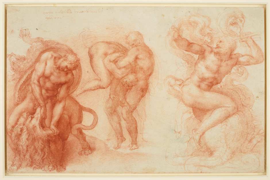 Michelangelo_irisletter.png