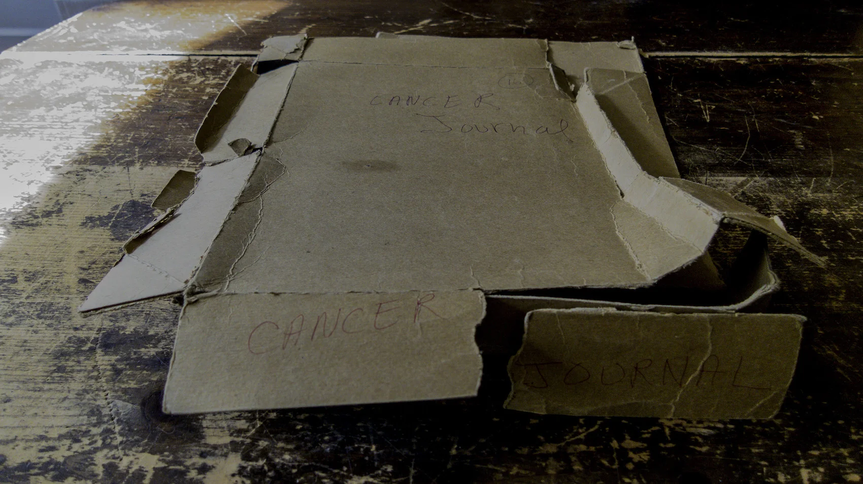 Cancer Journal box copy.jpg