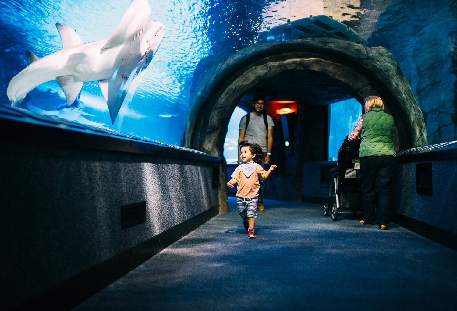 Lifestyle-Photographer-Columbus-Ohio-Newport-Aquarium-Erika-Venci-Photography