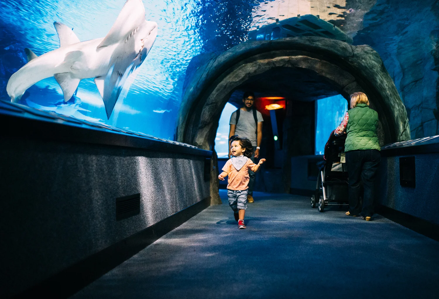 Lifestyle Photographer Columbus Ohio | Family Trip to Newport Aquarium