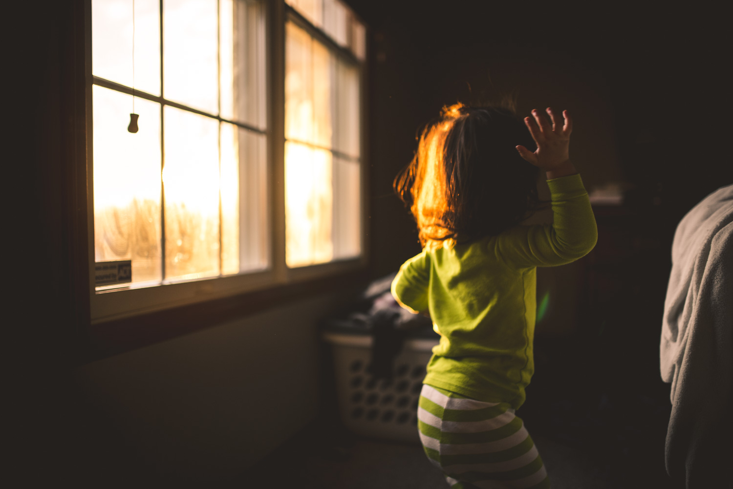 Golden Hour - ISO 160 f/1.4 1/320s SigmaArt 35mm