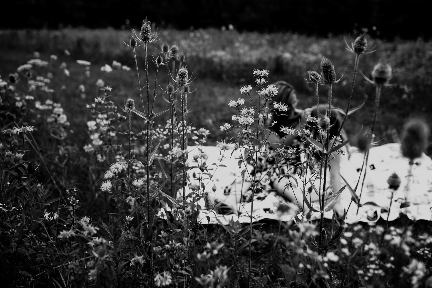 Columbus-Ohio-Family-Photographer-Erika-Venci-Photography