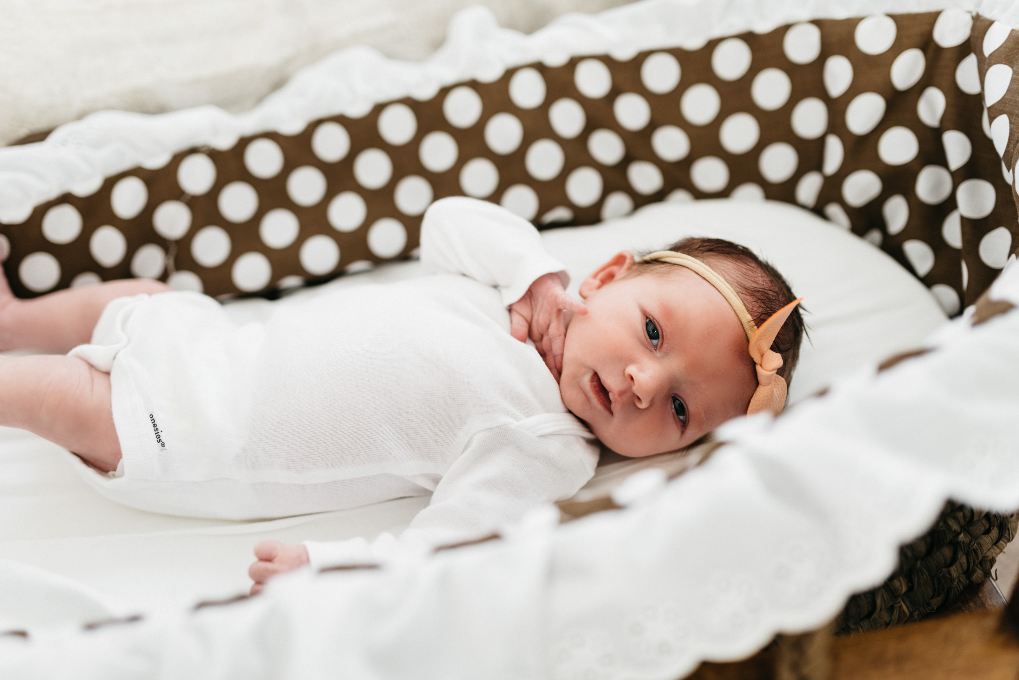 Newborn-baby-girl-in-bassinet-Columbus-Ohio-Photographer-Erika-Venci-Photography