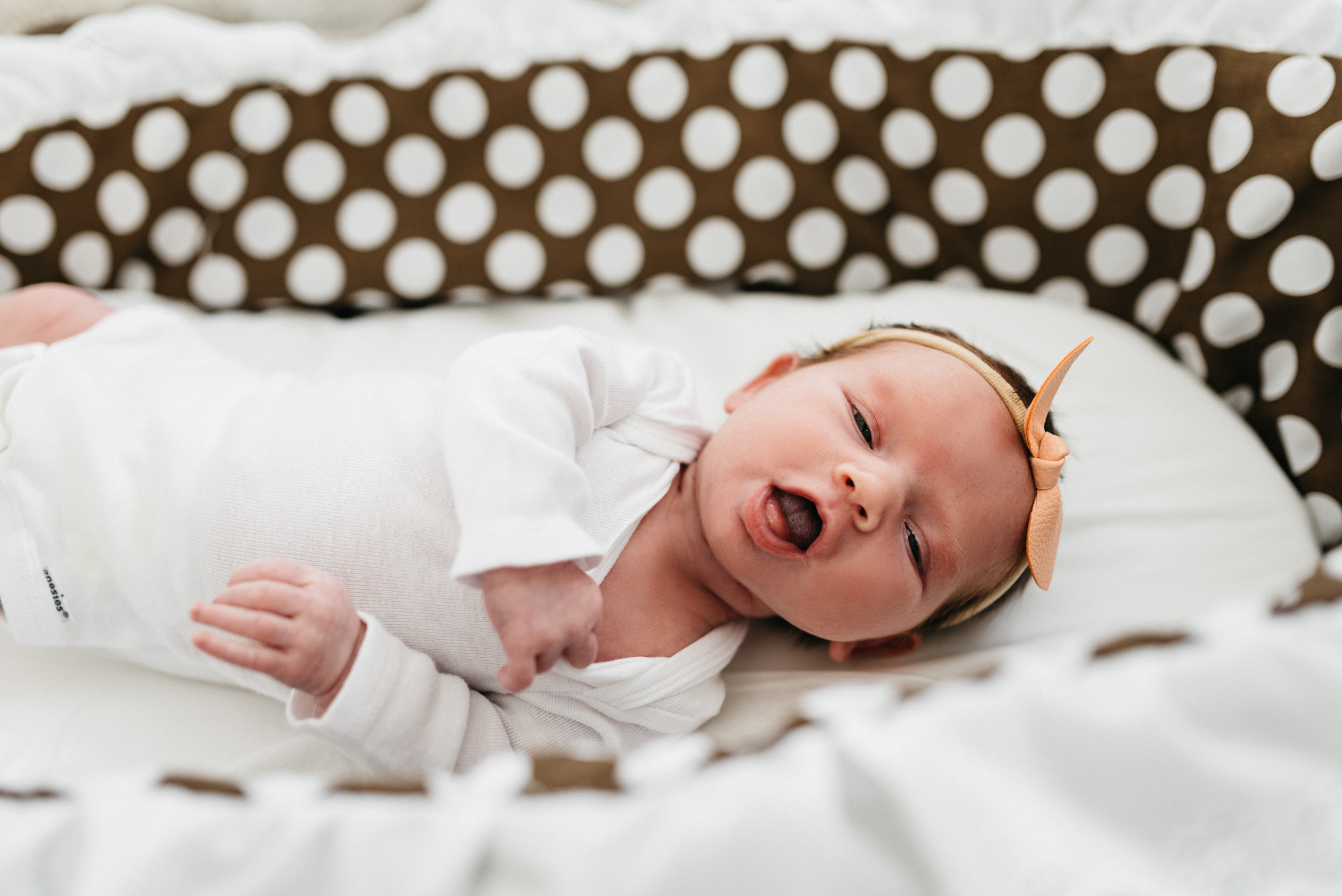 Newborn-baby-girl-in-bassinet-Columbus-Ohio-Photographer-Erika-Venci-Photography