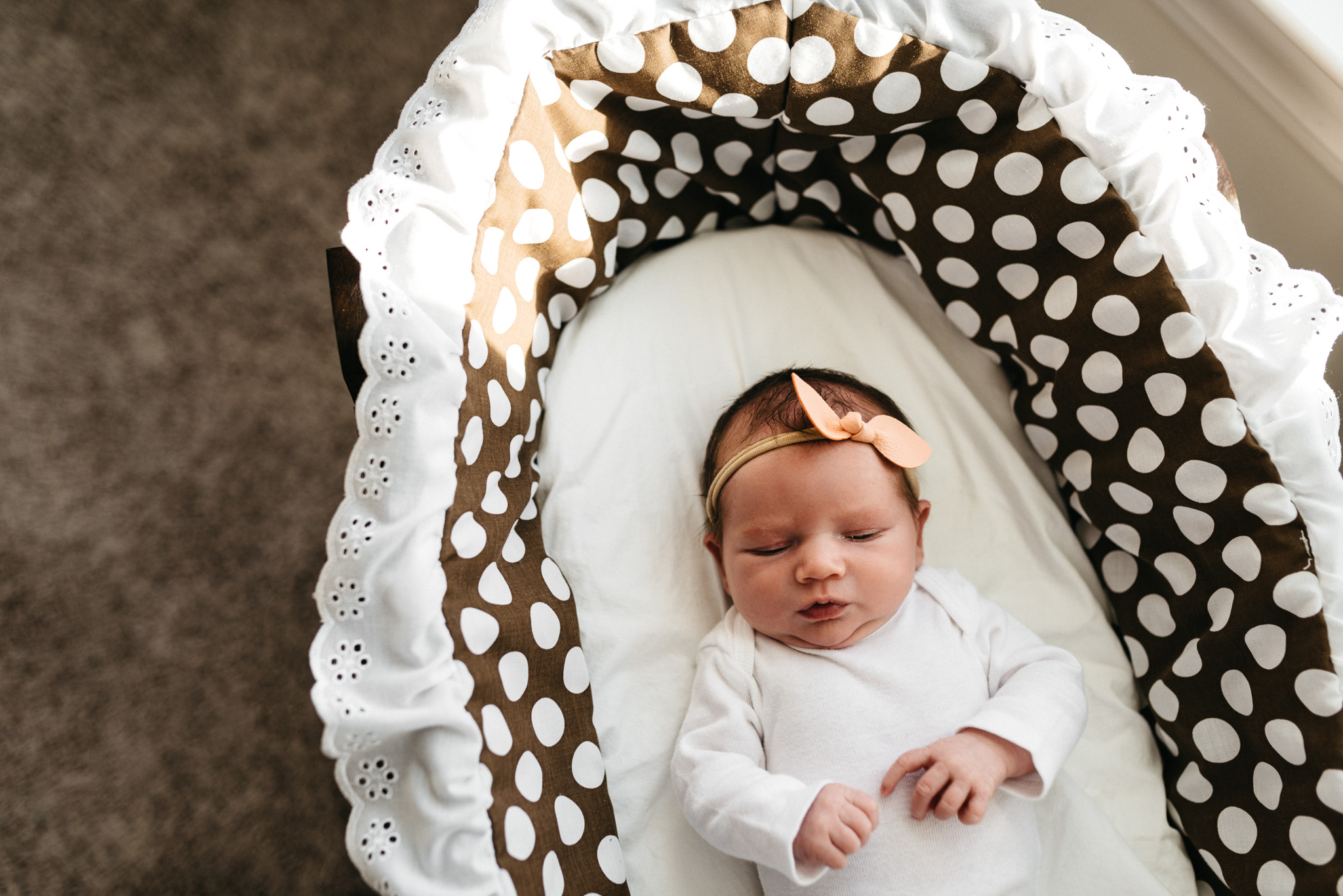 Newborn-baby-girl-in-bassinet-Columbus-Ohio-Photographer-Erika-Venci-Photography