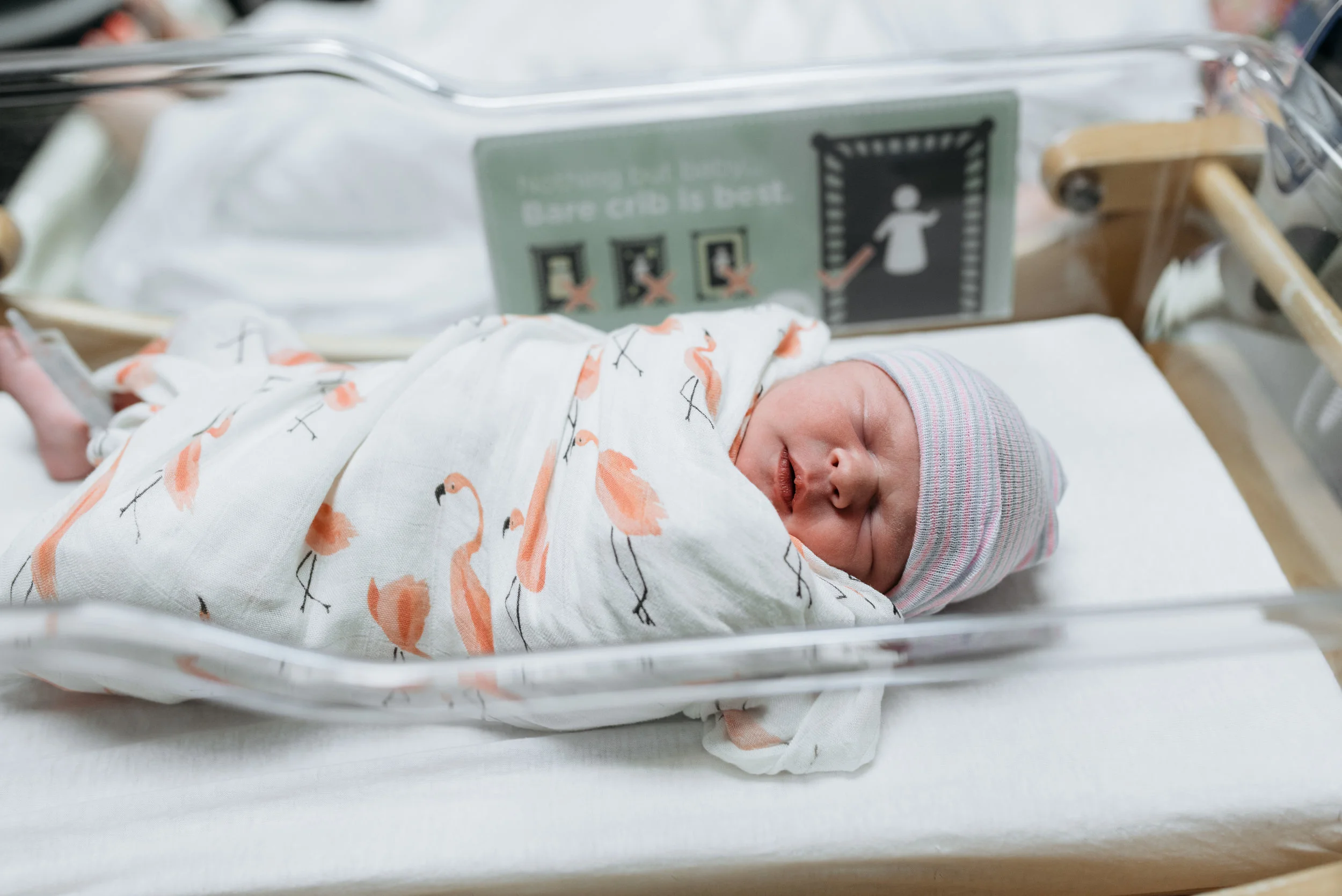 First Day Earthside | Columbus Ohio Photographers | Fresh 48 Session