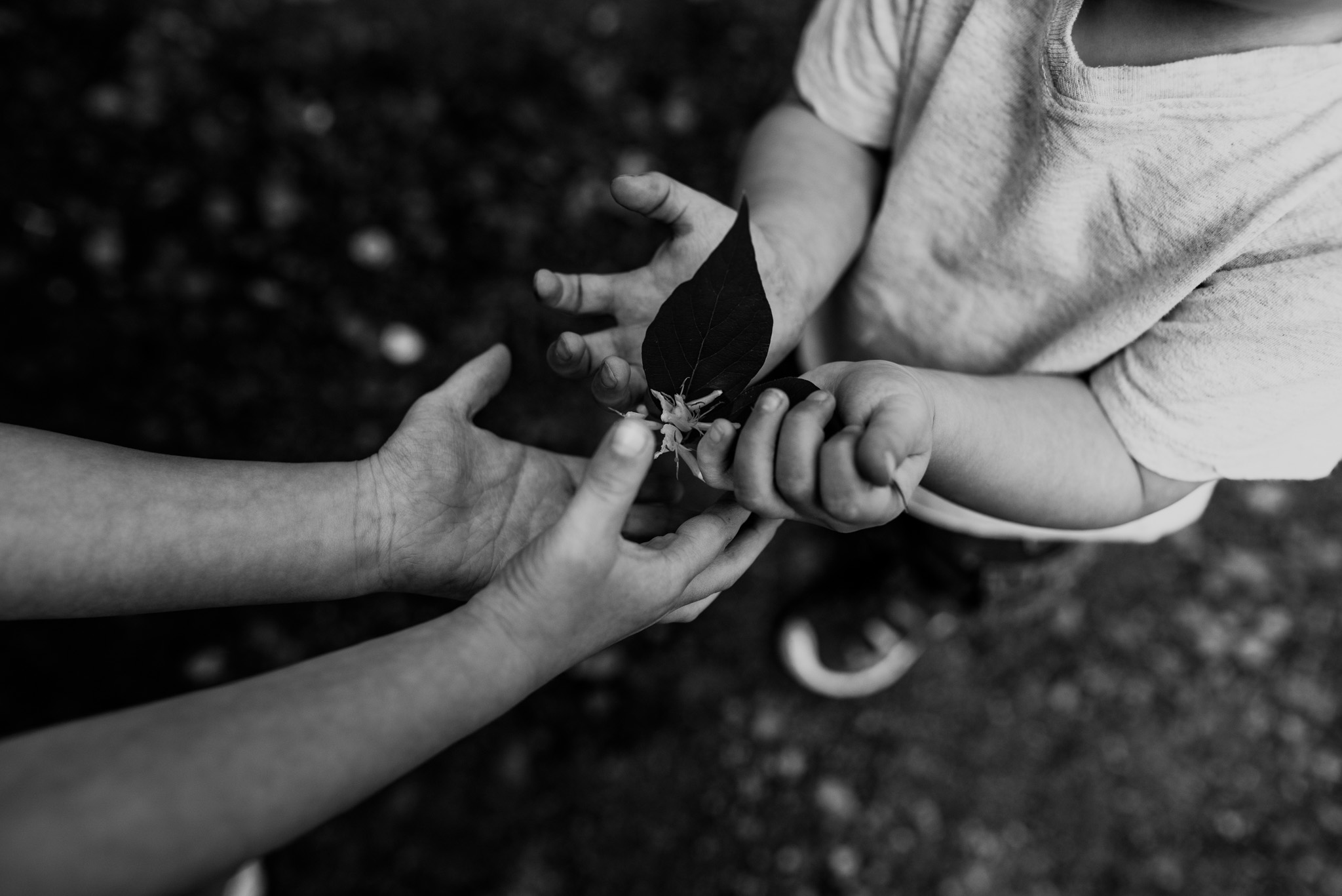 family-photography-columbus-ohio-photographers-erika-venci
