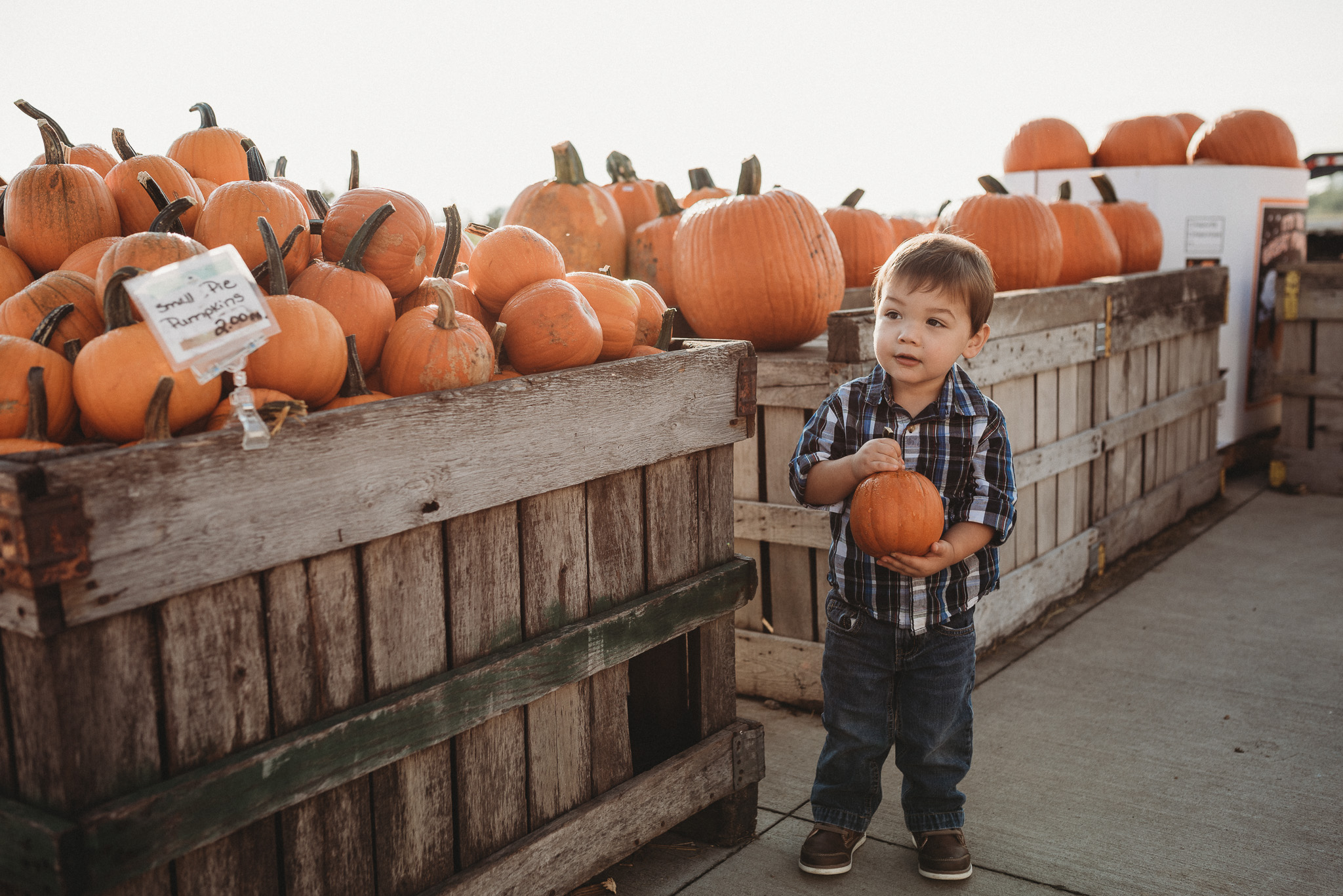 Lynd-Fruit-Farm-Pataskala-Ohio-Family-Photography