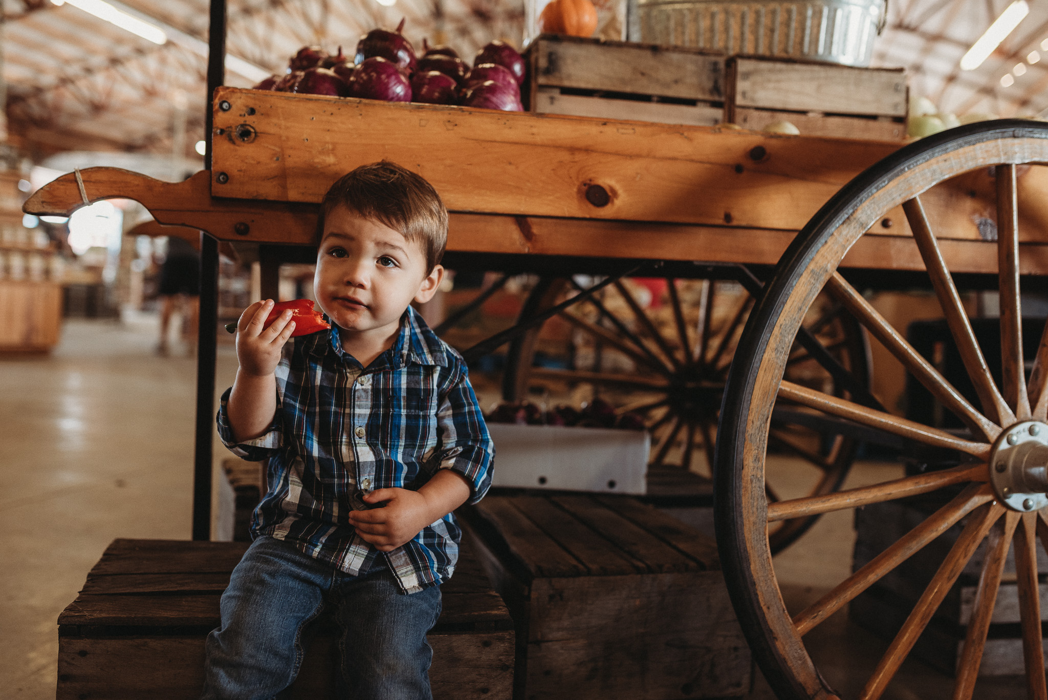 Lynd-Fruit-Farm-Pataskala-Ohio-Family-Photography