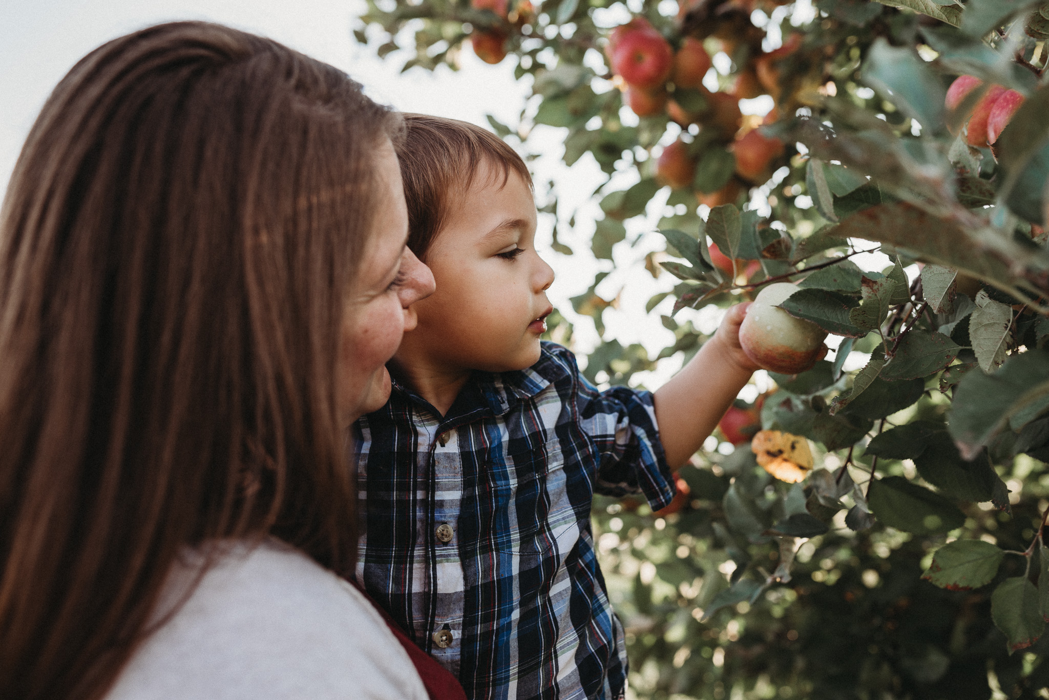 Lynd-Fruit-Farm-Pataskala-Ohio-Family-Photography