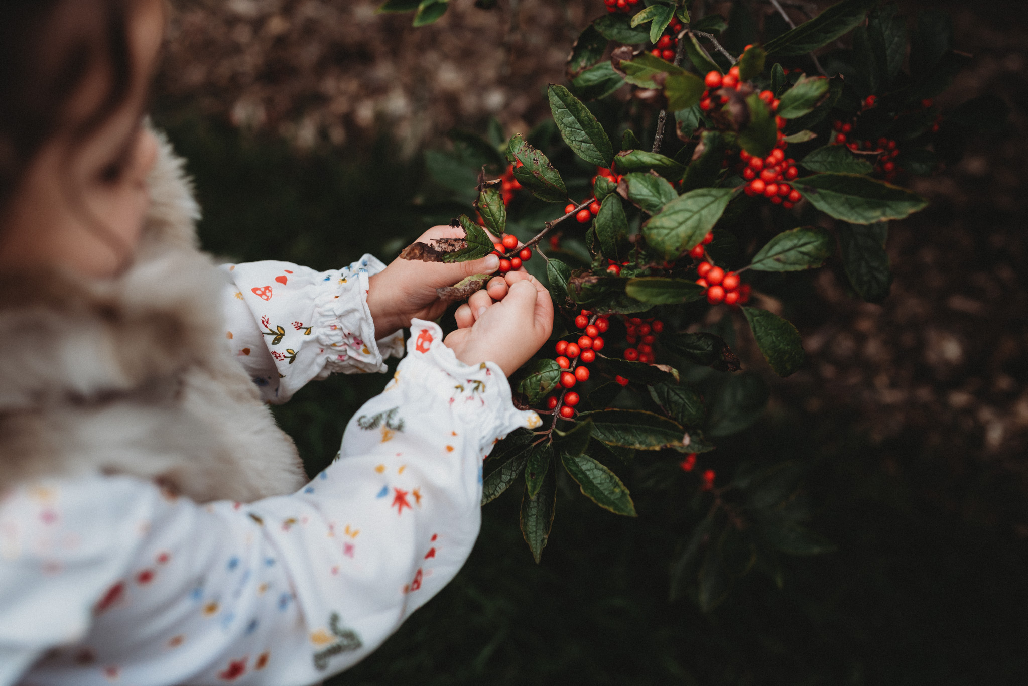 Inniswood-Family-Photos-Columbus-Ohio-Erika-Venci-Photography