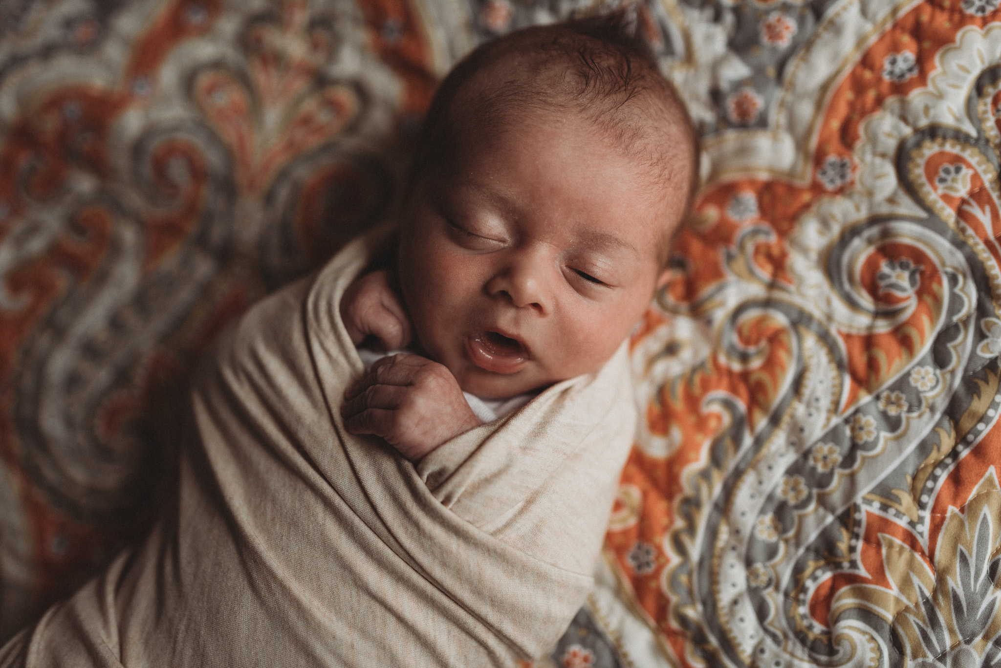 Newborn-Photographer-Columbus-Ohio-Erika-Venci-Photography