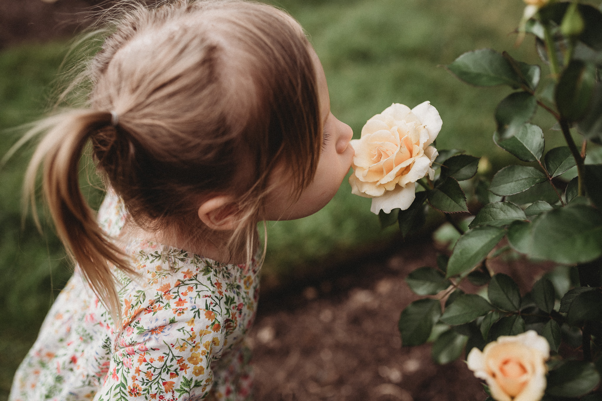 Outdoor-Lifestyle-Newborn-Photos-Inniswood-Botanical-Garden