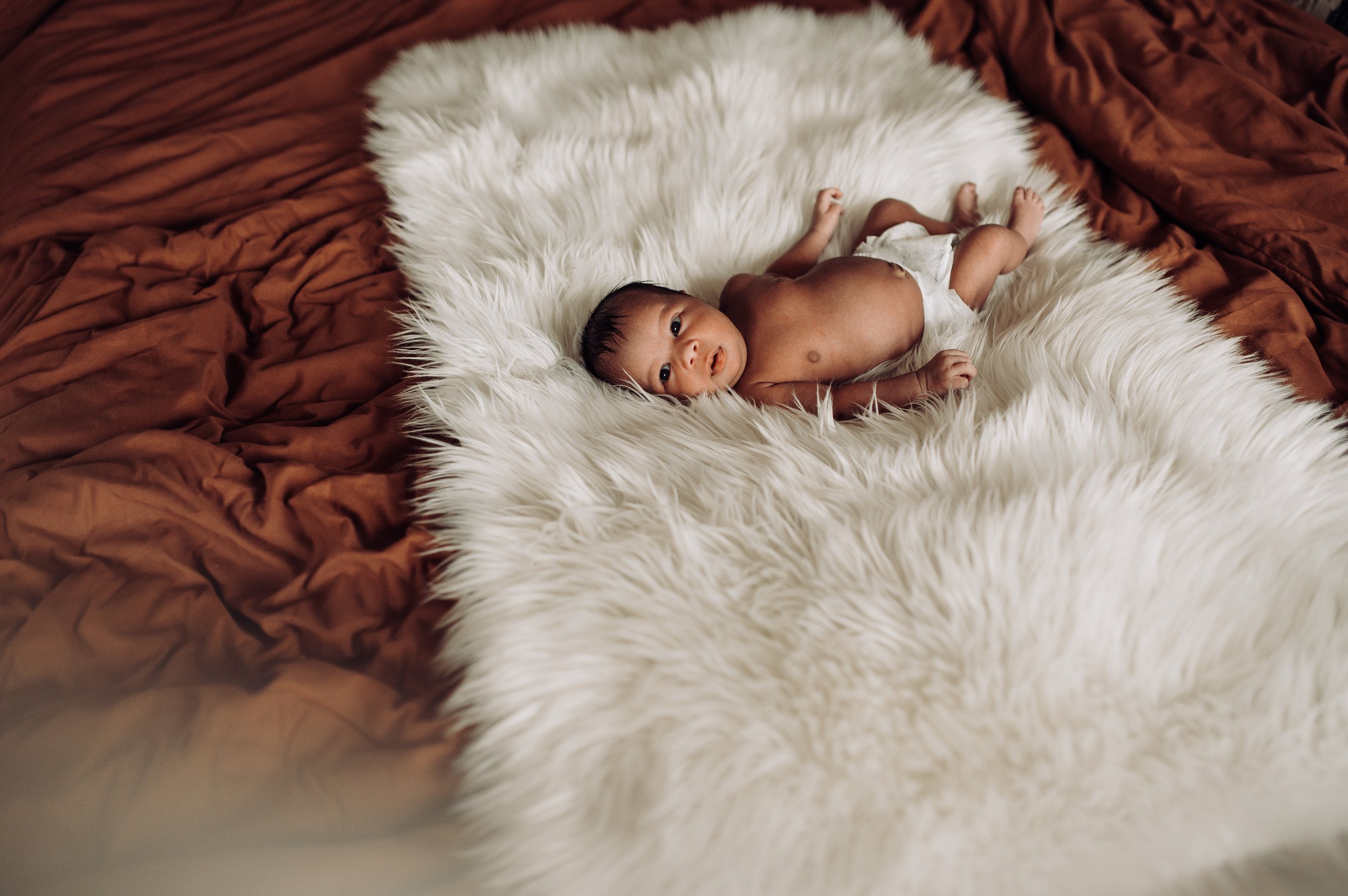 Newborn-Photographer-Columbus-Ohio-Erika-Venci-Photography