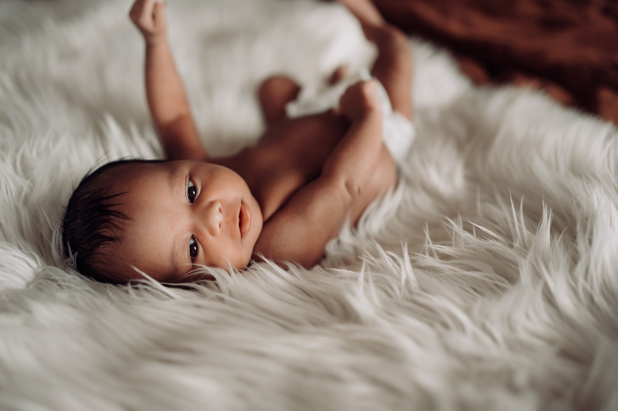 Newborn-Photographer-Columbus-Ohio-Erika-Venci-Photography