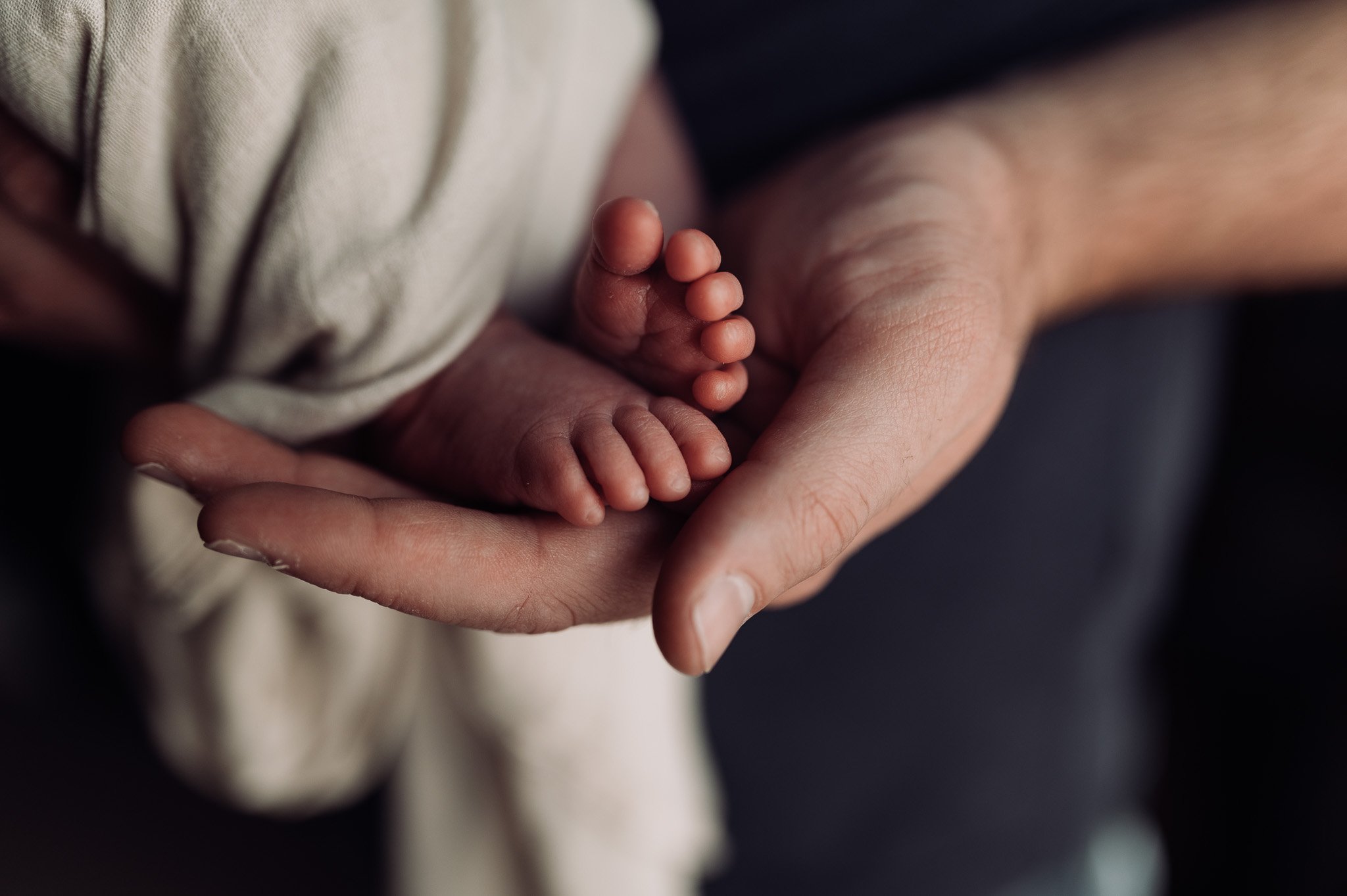   In-home-newborn-photographer-lewis-center-ohio-erika-venci-photography