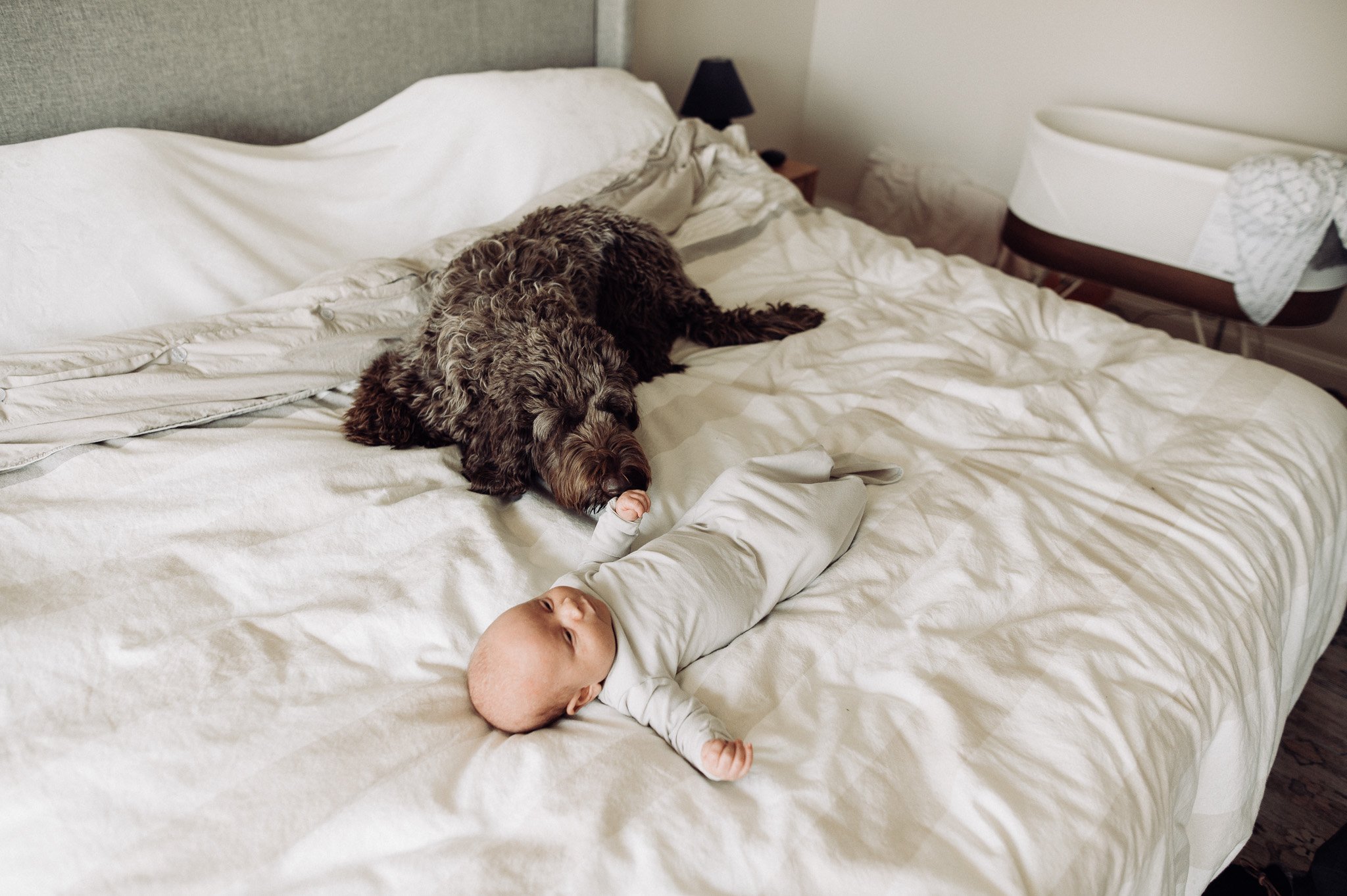 In-Home-Newborn-Photography