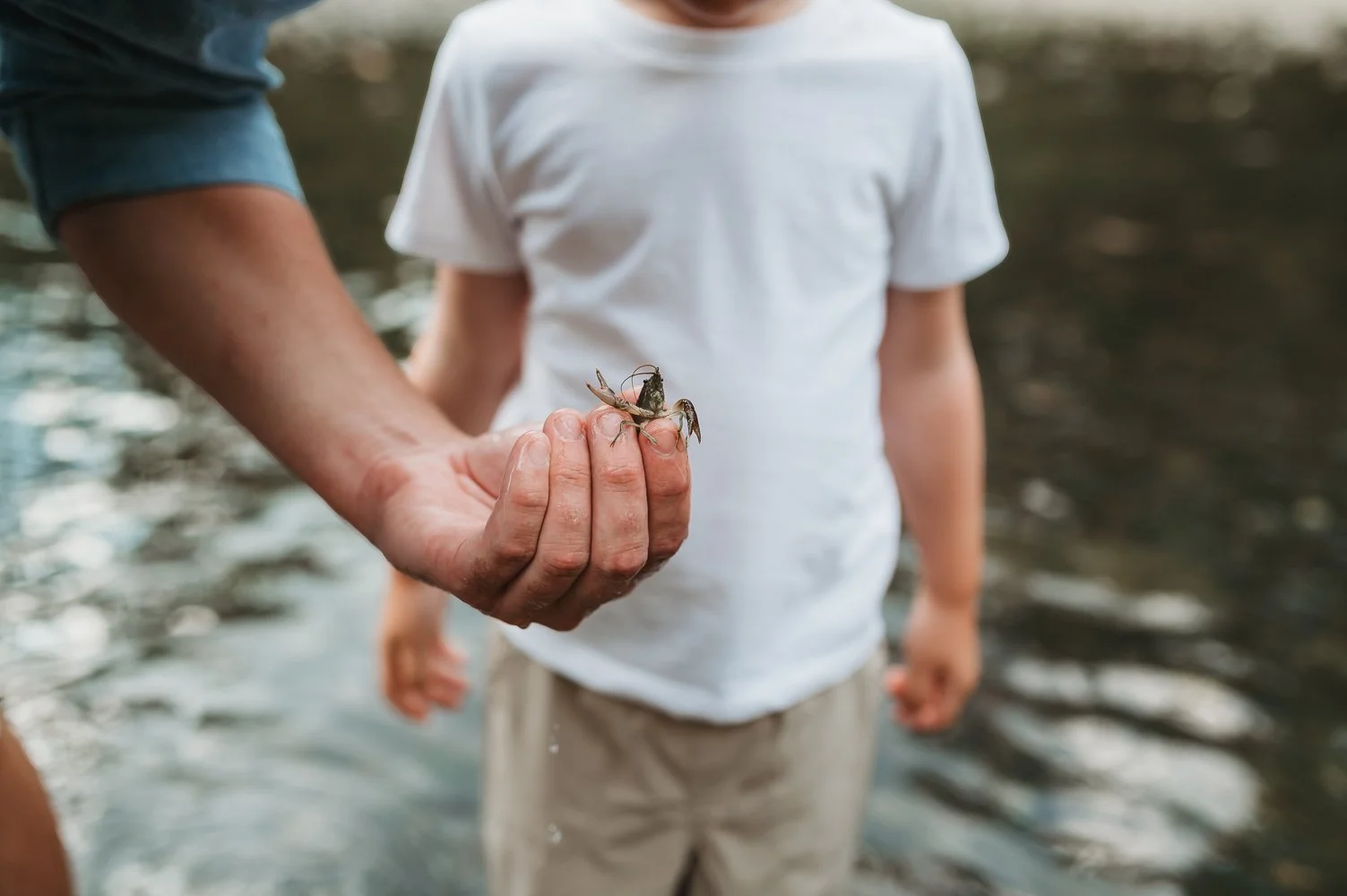 Natural Family Photography in Columbus Ohio | Creek Minis