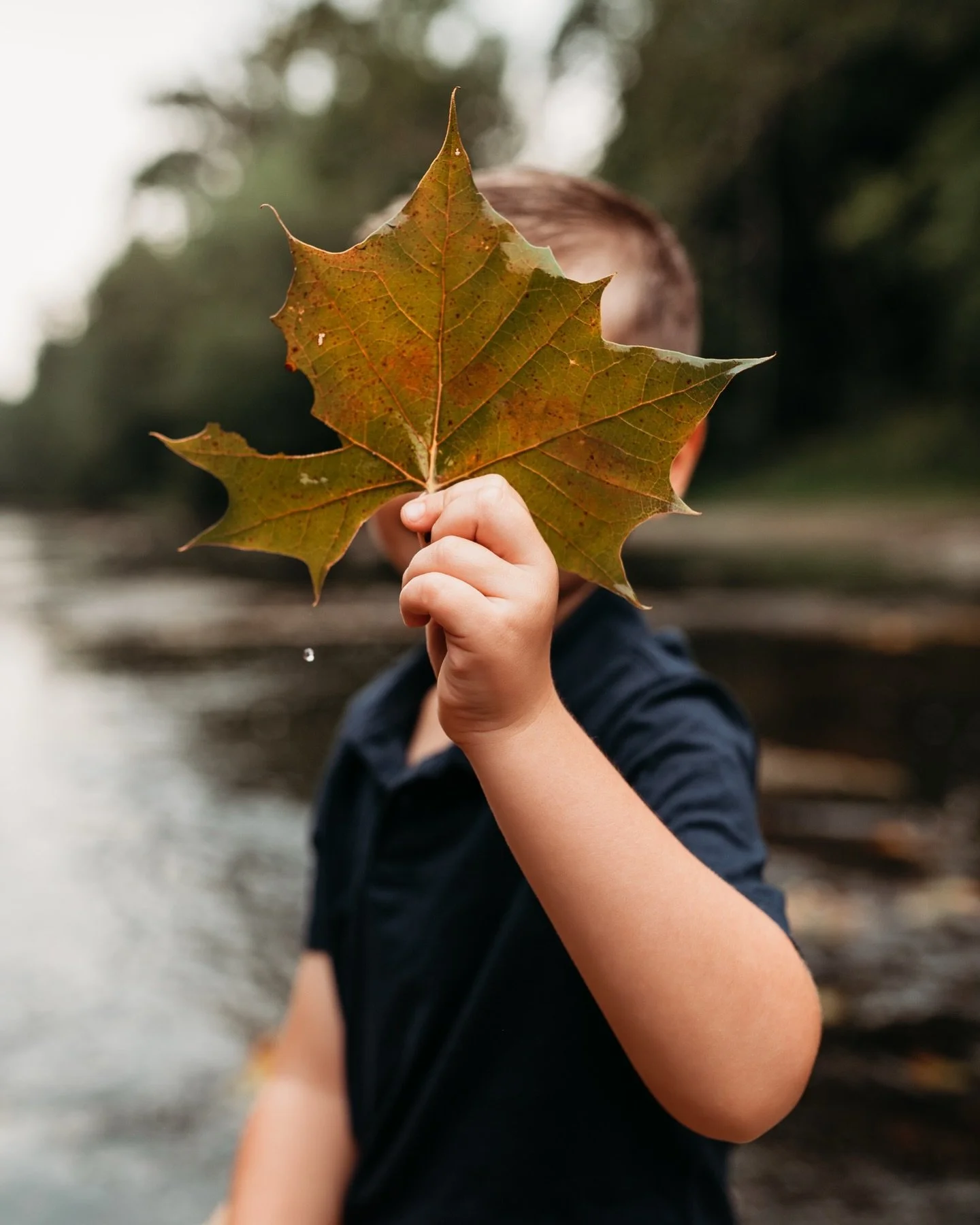 One of my favorite things about September is when summer starts melting into fall. We had beautiful weather and beautiful fall leaves for this creek mini session - best of both worlds! 🍁 

#columbusohmom #columbusohmoms #columbusmoms #columbusohio #